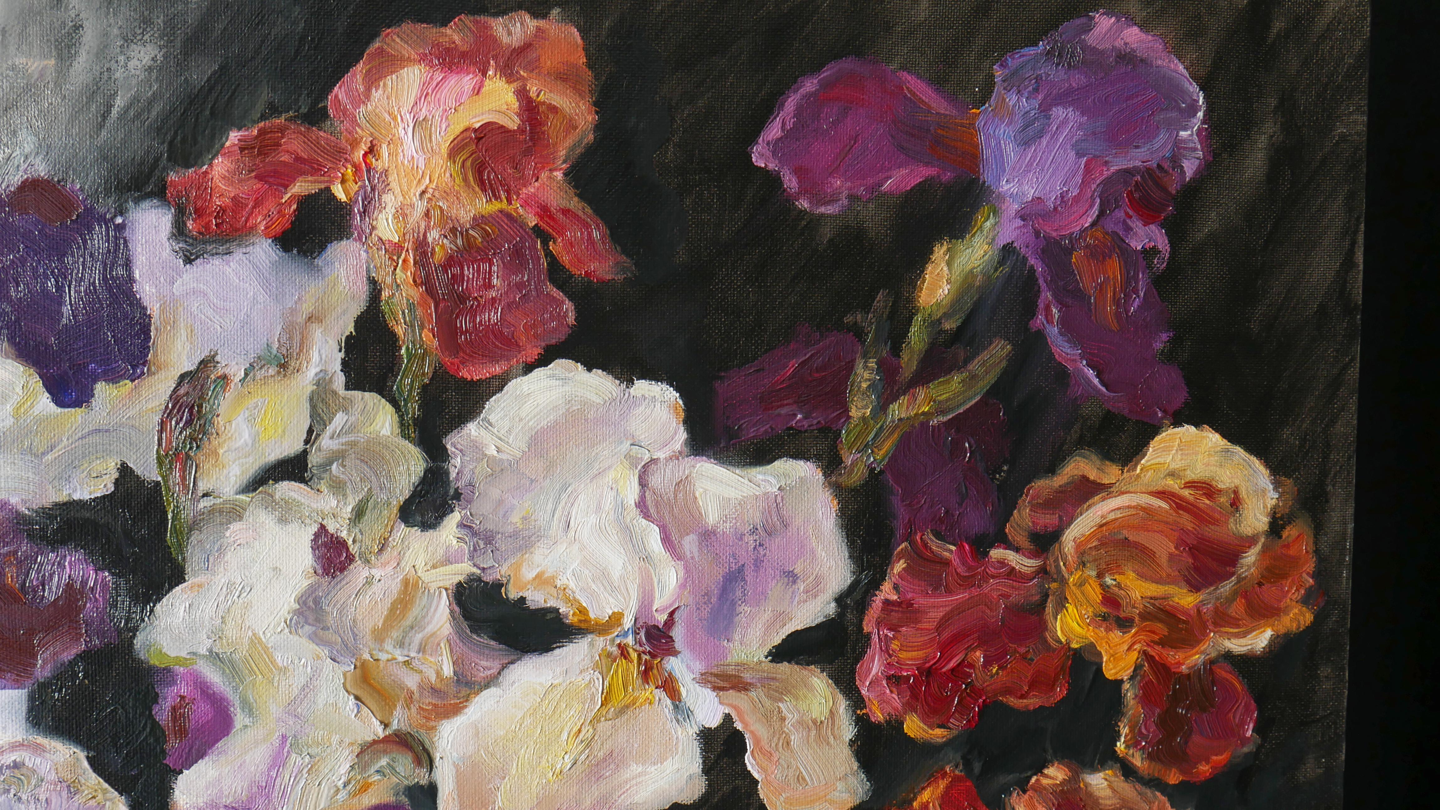Velvet Iris Symphony For Sale 3