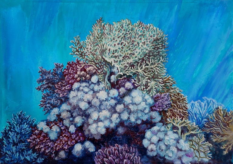 Nikolina Kovalenko December Morning Coral Reef Painting Oil On Canvas By Nikolina Kovalenko For Sale At 1stdibs