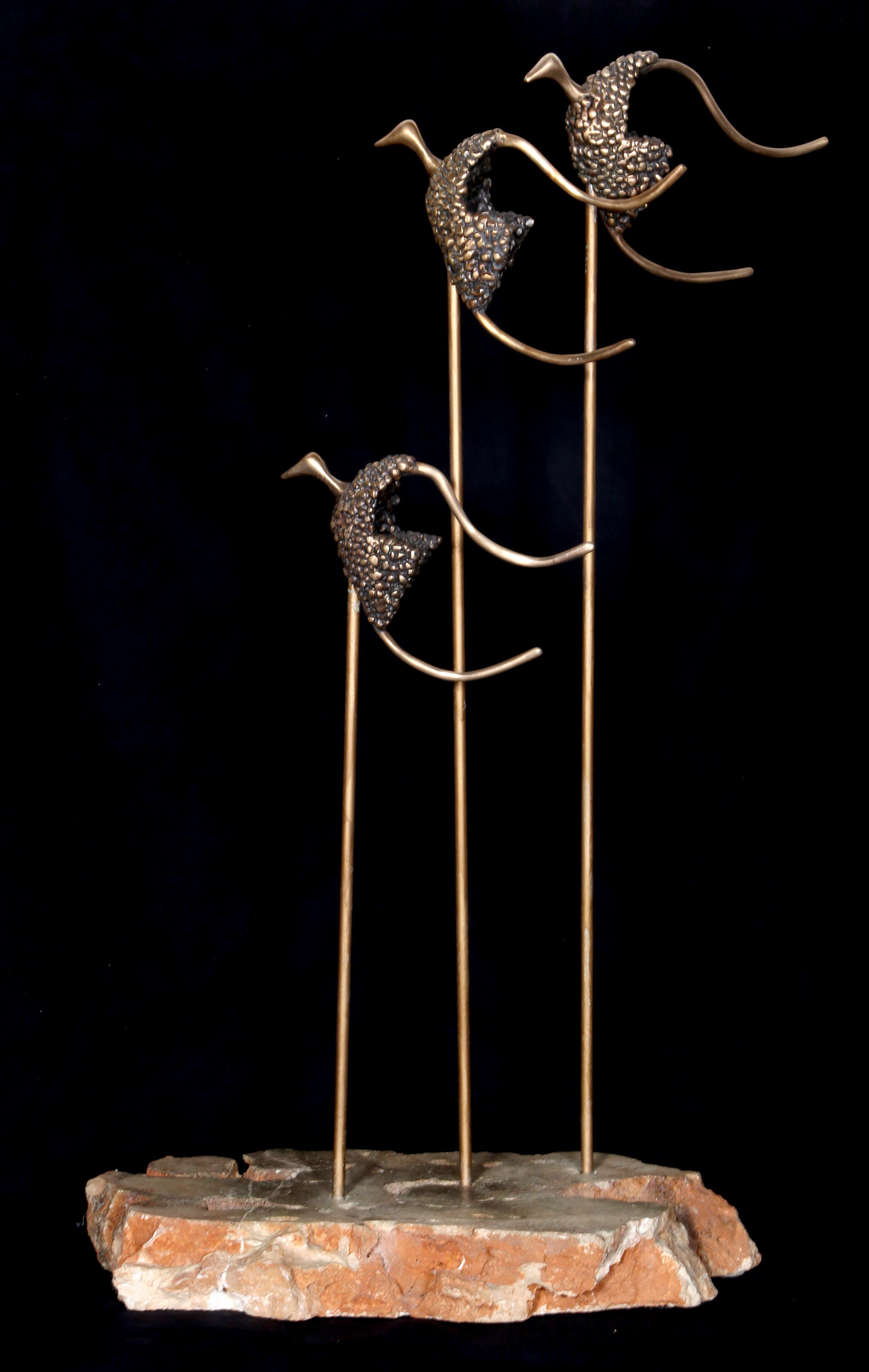 Nili Carasso was born in 1951, in Jerusalem. At the age of ten, Nili attended art classes at the Bezalel art school in Jerusalem. By the time Nili was 26, she graduated from David Yalin College with a major in Design, Composition, and Art. For the