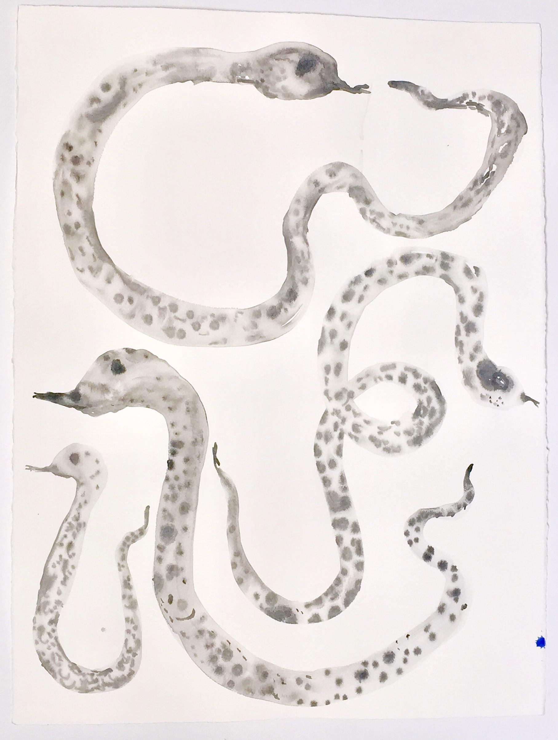 This is a black and white  monochrome painting using ink on Arches Watercolor paper.   The work is 22 x 30 inches and depicts (perhaps a family?) four snakes.
I started the snakes paintings in 2020. Previously I had incorporated in my large works on
