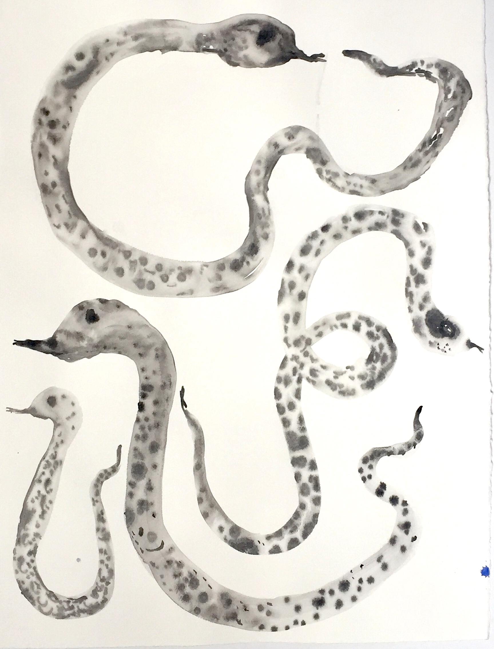 Nina Bovasso Figurative Painting - Black and White Snakes ink on Watercolor Paper