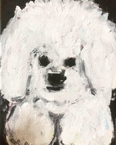 Pluisje, Fluffy White Dog Portrait Small canvas