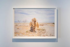 Tierra de sueños: Landmark / fotografía enmarcadaph