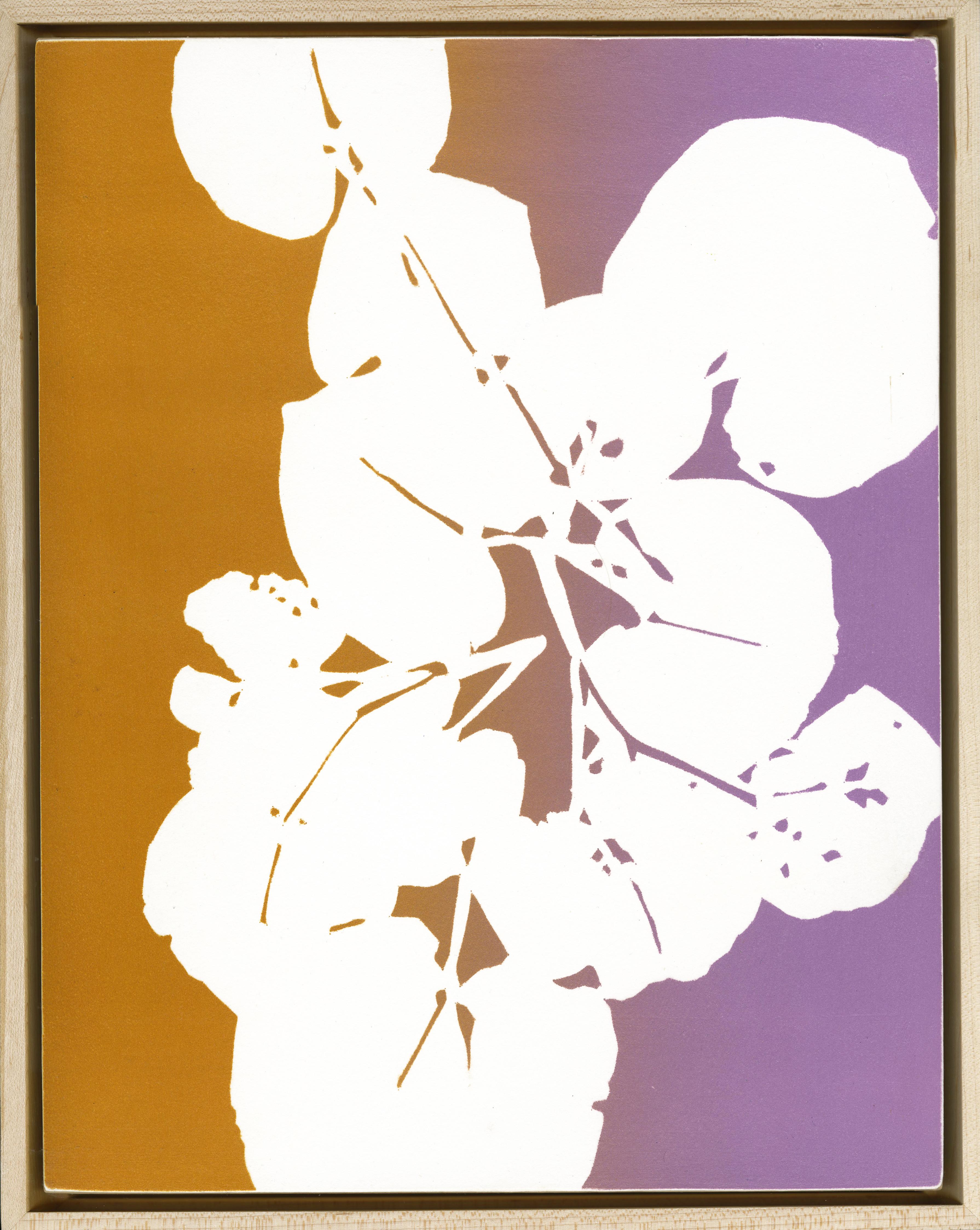 Foglia di aster