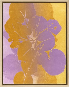 Feuille d'aster
