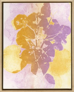 Foglia di aster