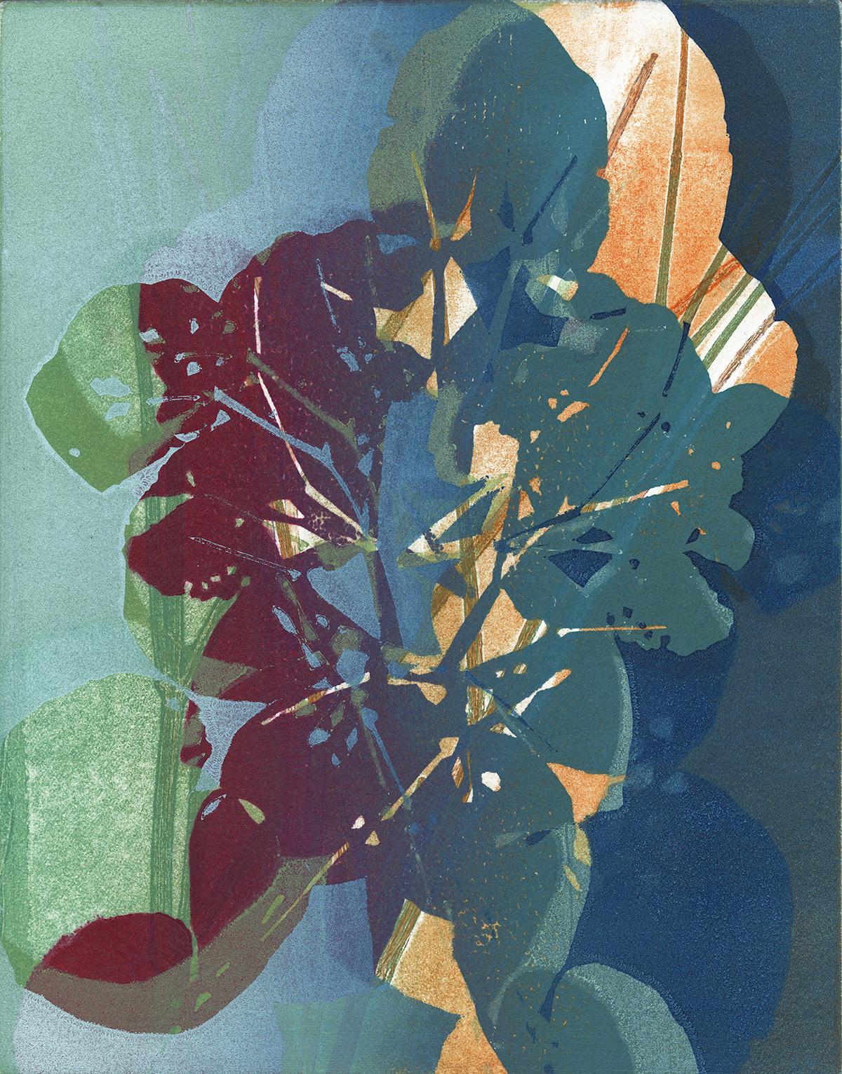 Foglie di aster + erba