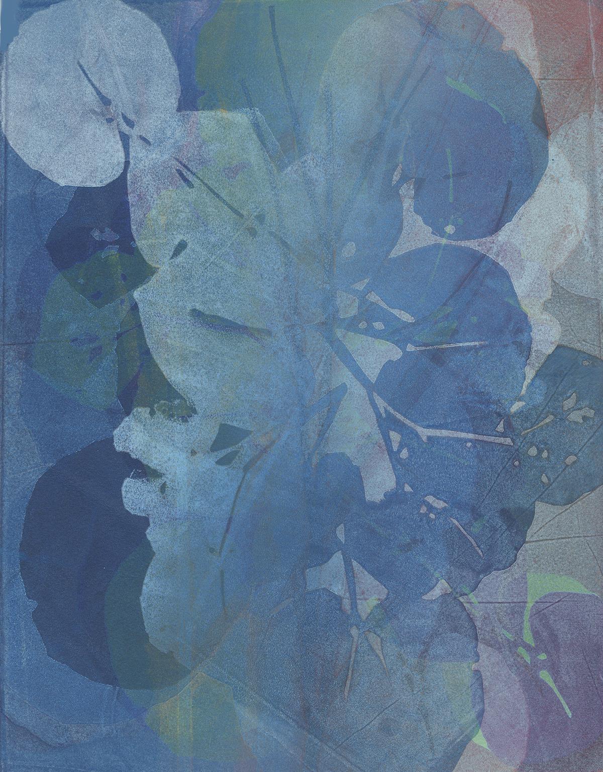 La série botanique de Nina Tichava voit les plantes de tous les jours s'épanouir avec une nouvelle vivacité. Ces monotypes sont créés avec de l'encre de gravure sur papier, montés sur panneau et vernis à la cire froide. Chaque tirage est présenté