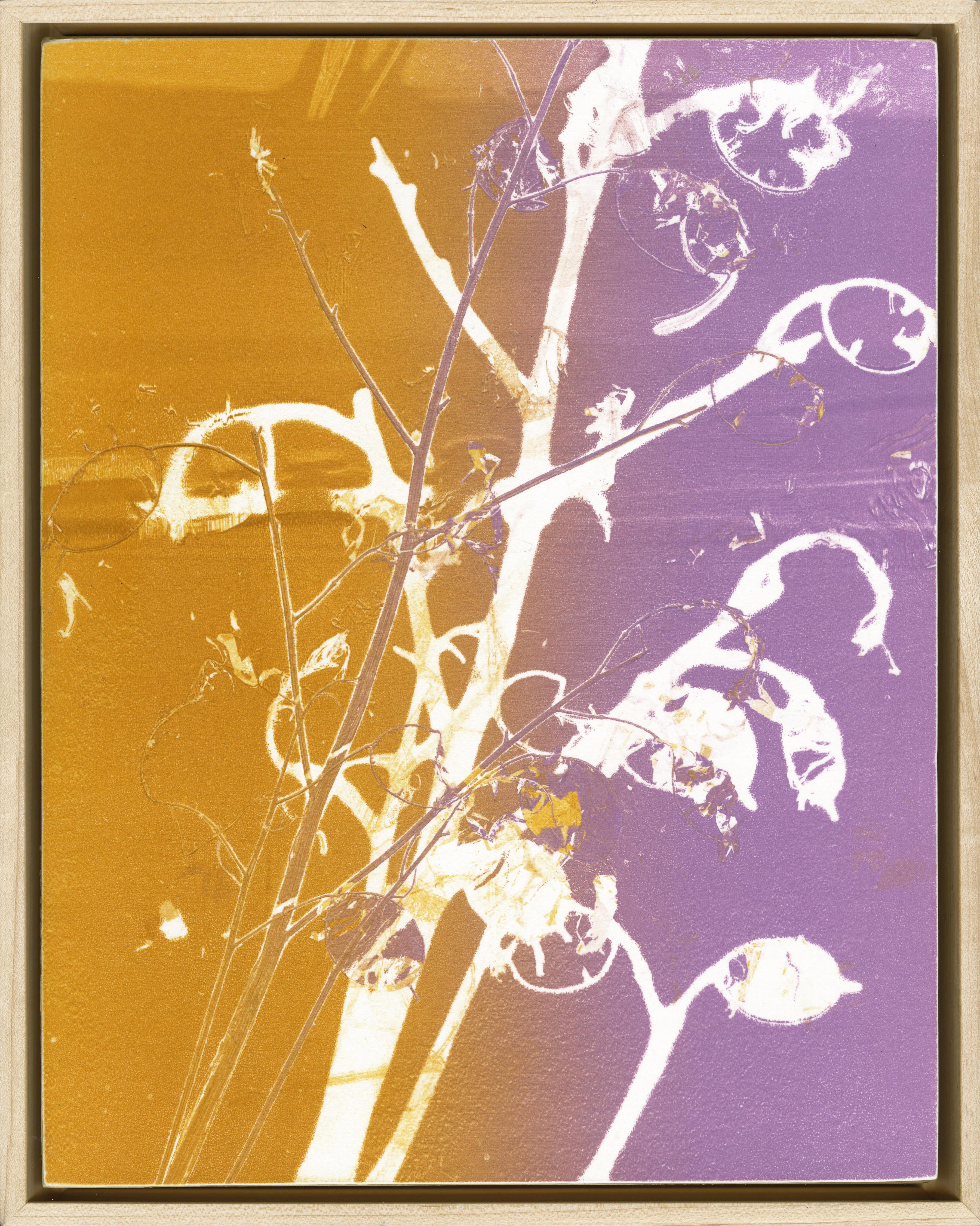 Feuille d'aster + Plante Penny - Contemporain Print par Nina Tichava