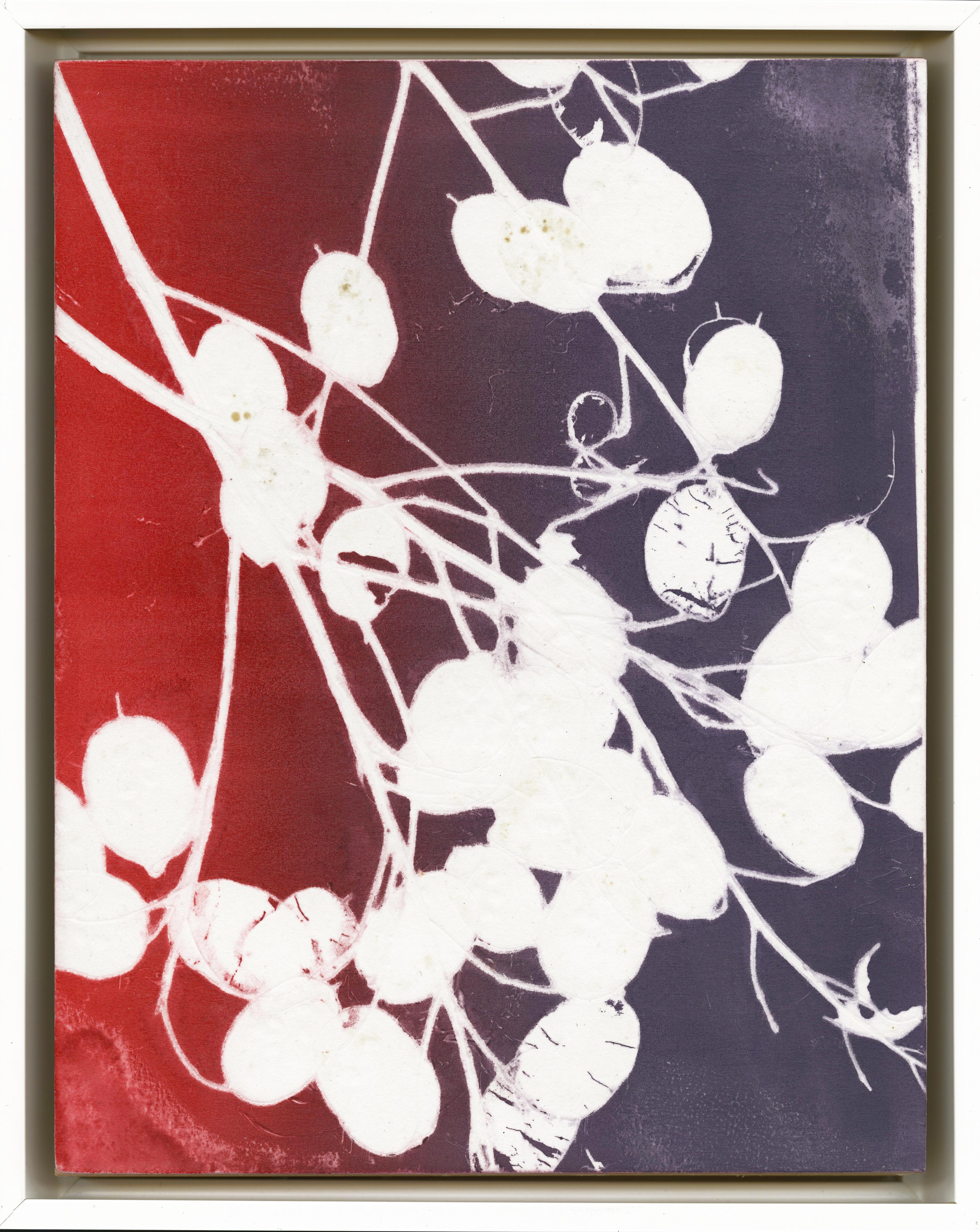 Terni 10-18/Aster Leaf, Grass and Moonwort in Violet + Scarlet - Contemporary Print by Nina Tichava