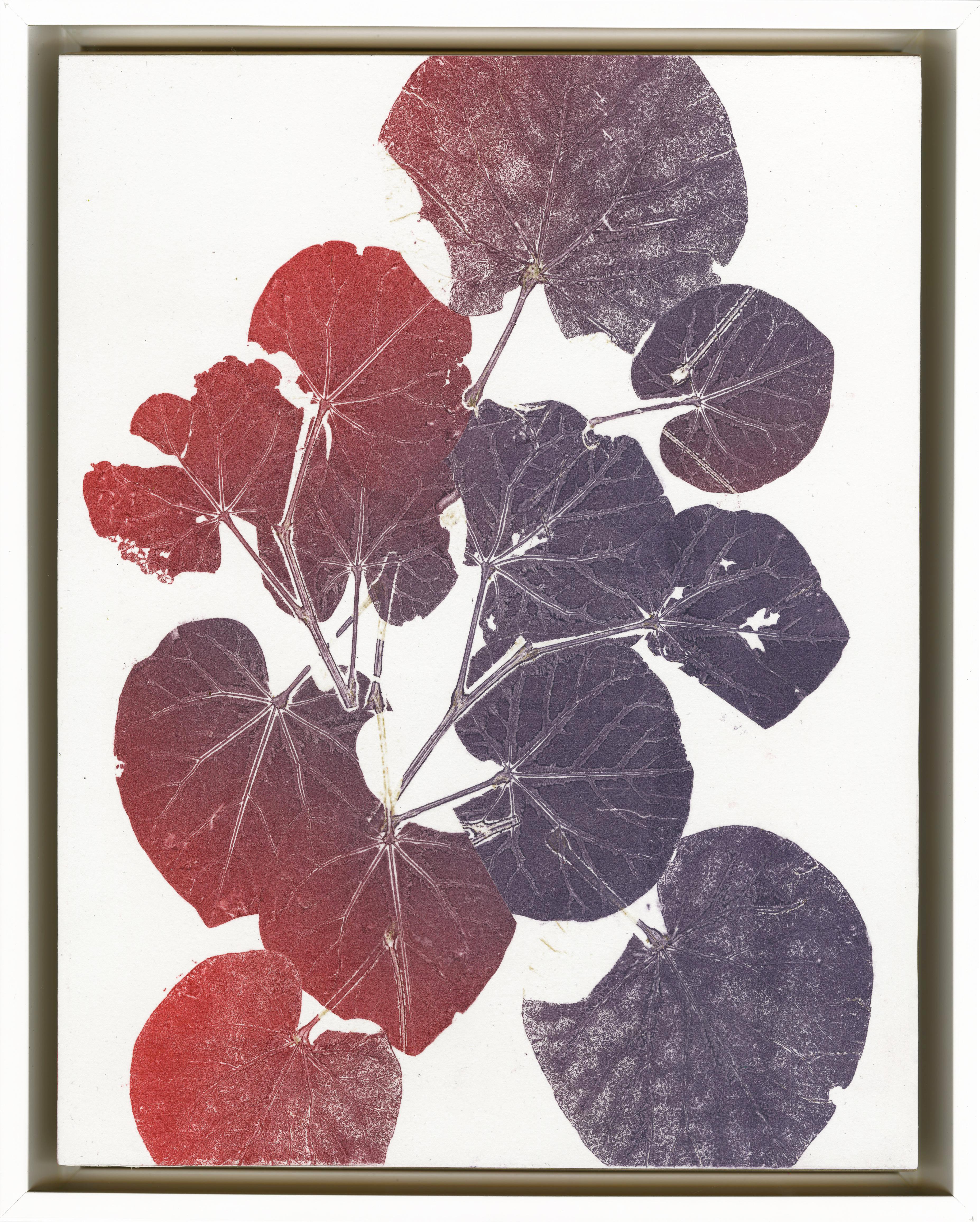 Terni 10-18/Aster Leaf, Grass and Moonwort in Violet + Scarlet - Brown Landscape Print by Nina Tichava