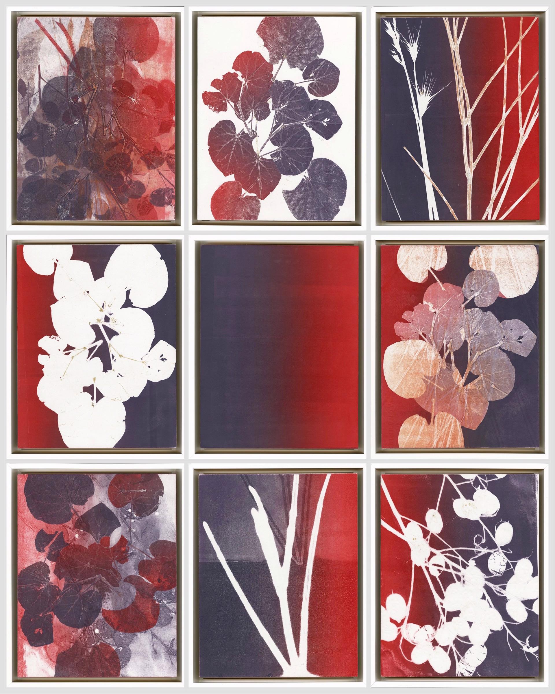 Nina Tichava Landscape Print - Terni 10-18/Aster Leaf, Grass and Moonwort in Violet + Scarlet