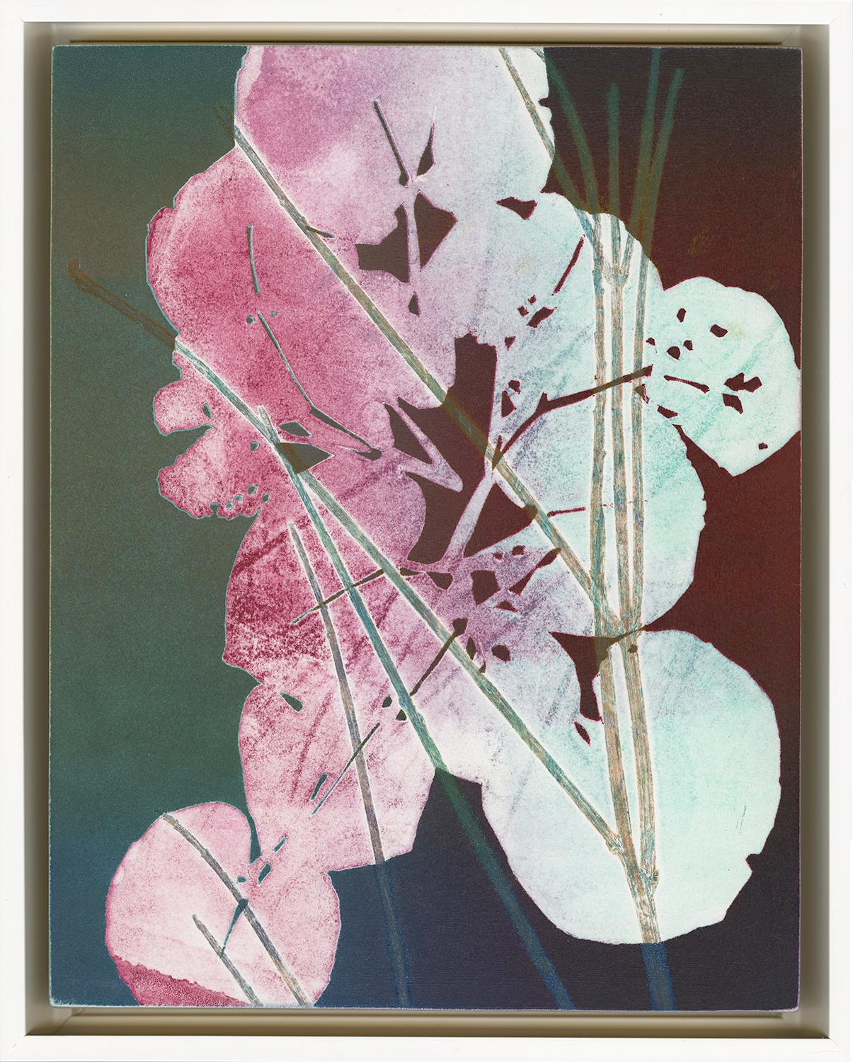 Nina Tichava Abstract Print - Terni 46/Aster Leaf + Grass