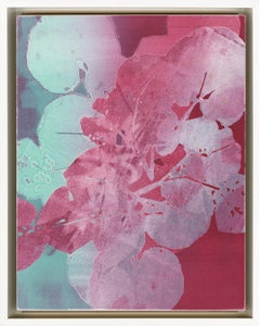 Terni 49/Aster Leaf