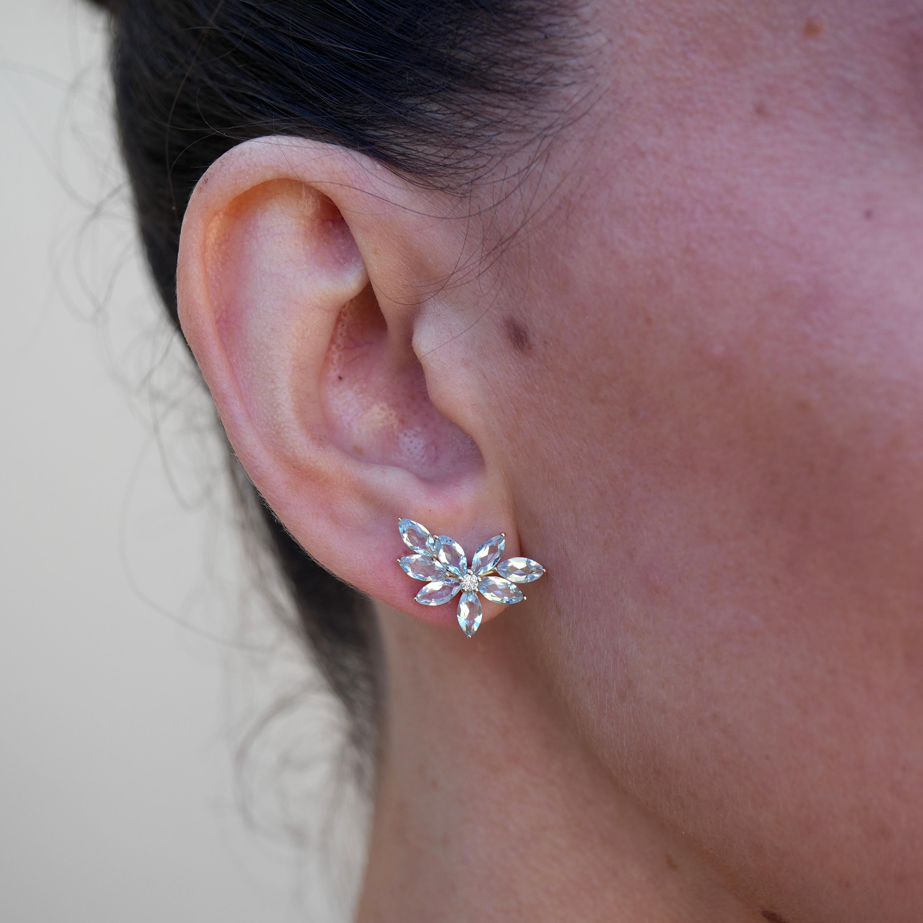 Gli orecchini a grappolo con diamante e acquamarina Nina Zhou in oro 14k sono un mix di eleganza e raffinatezza. Questi splendidi orecchini sono caratterizzati da acquamarine, celebri per la loro serena tonalità blu che evoca l'essenza rilassante