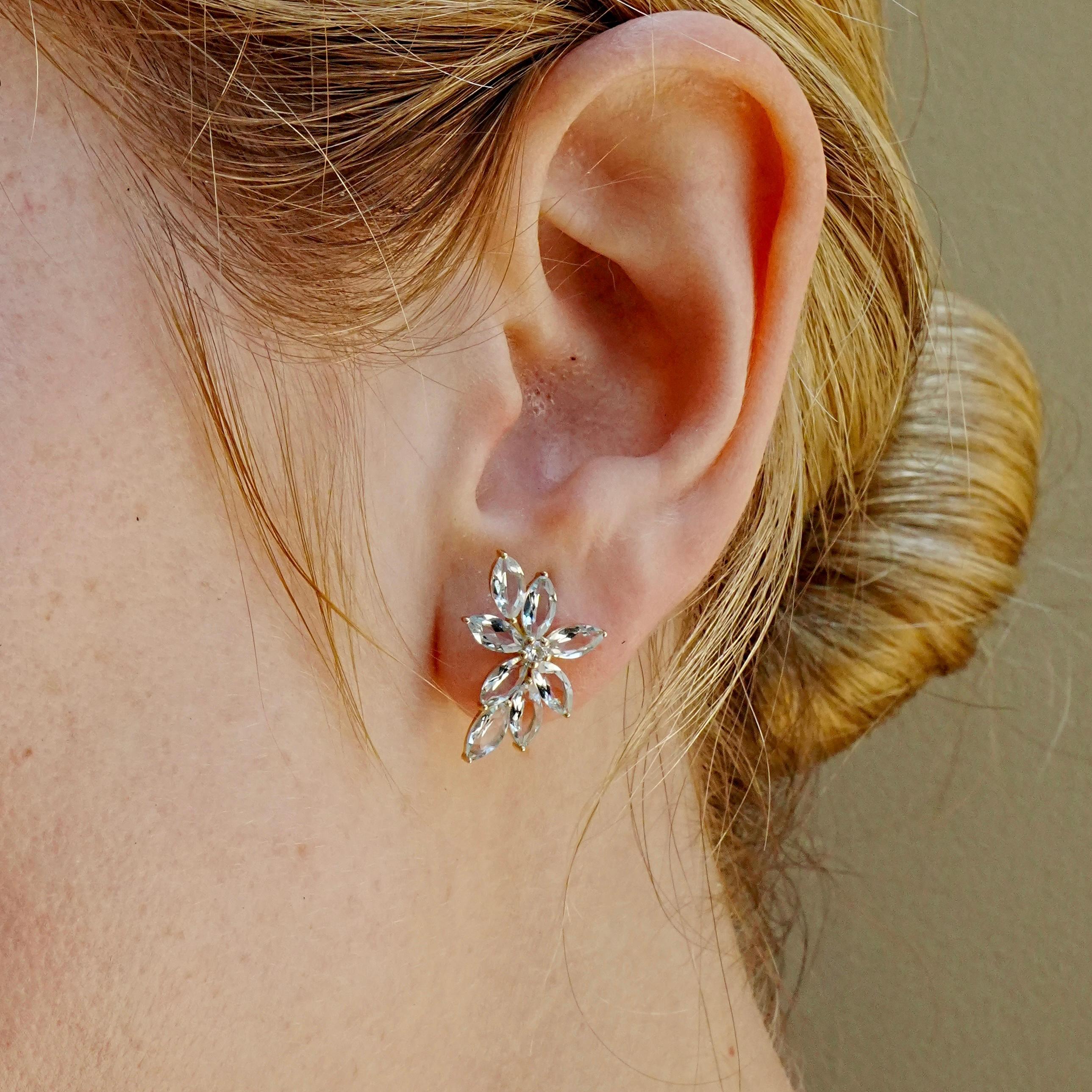 Marquise Cut Nina Zhou 3.56 ctw Aquamarine & Diamond Cluster Earrings For Sale
