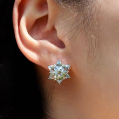 Nina Zhou 4.98ctw Aquamarine Diamond Snowflake Earrings in 14K White Gold