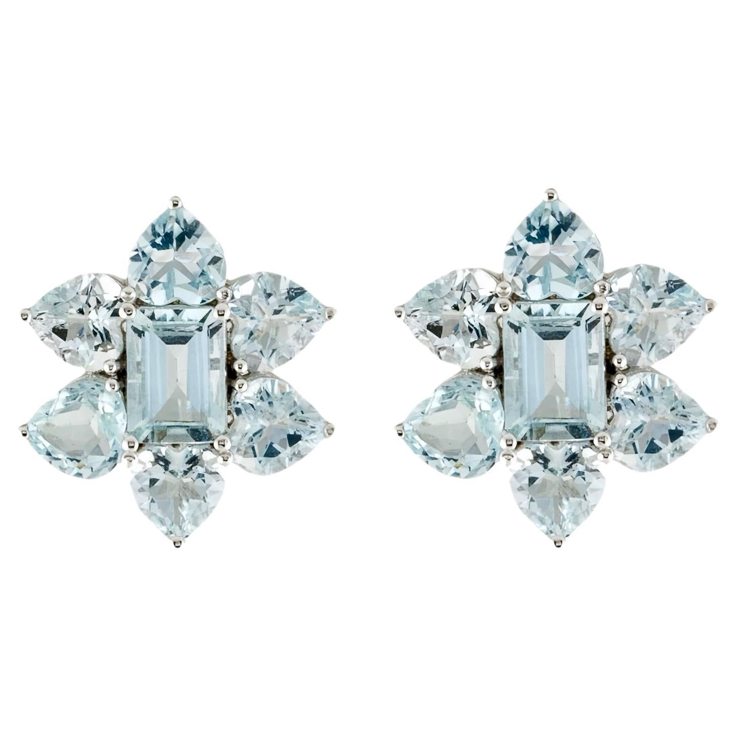 Nina Zhou 5.20ct Aquamarine Cluster Earriings