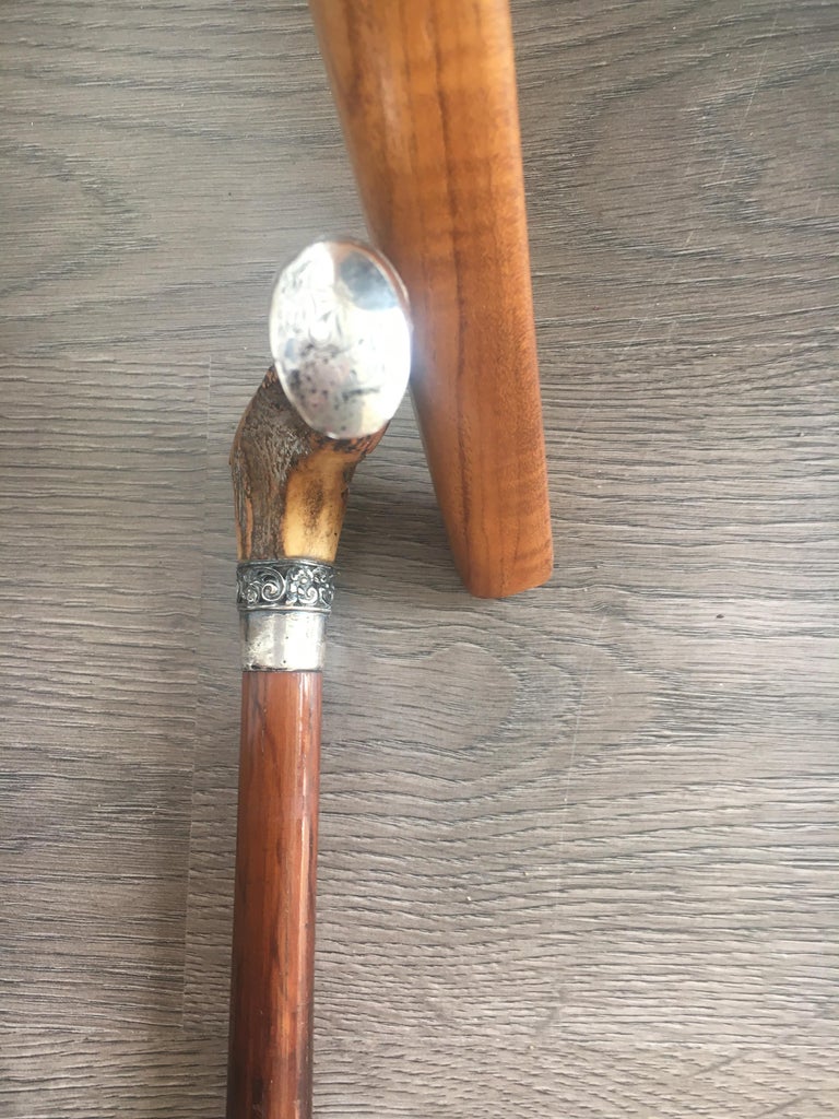 Nine AntlerMounted Canes and Walking Sticks, Some with Concealed