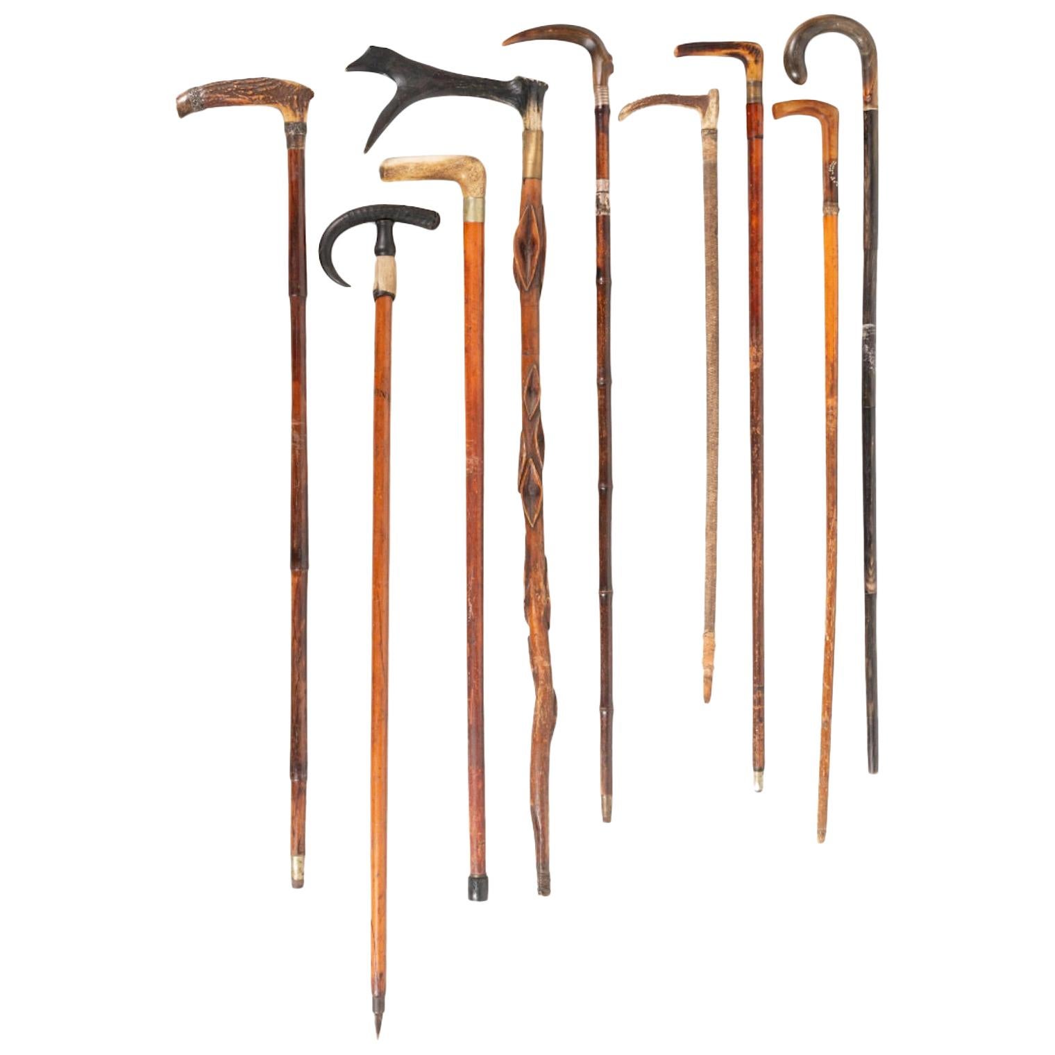 Nine Antler-Mounted Canes and Walking Sticks, Some with Concealed Daggers