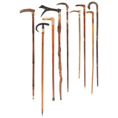 Antique Nine Antler-Mounted Canes and Walking Sticks, Some with Concealed Daggers