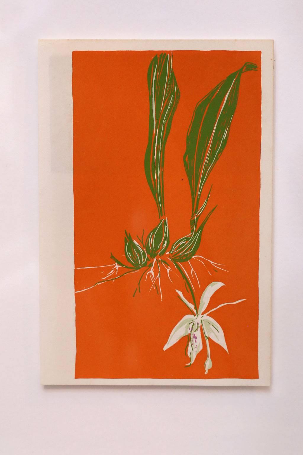 Nine Colorful Orchid Serigraphs 6