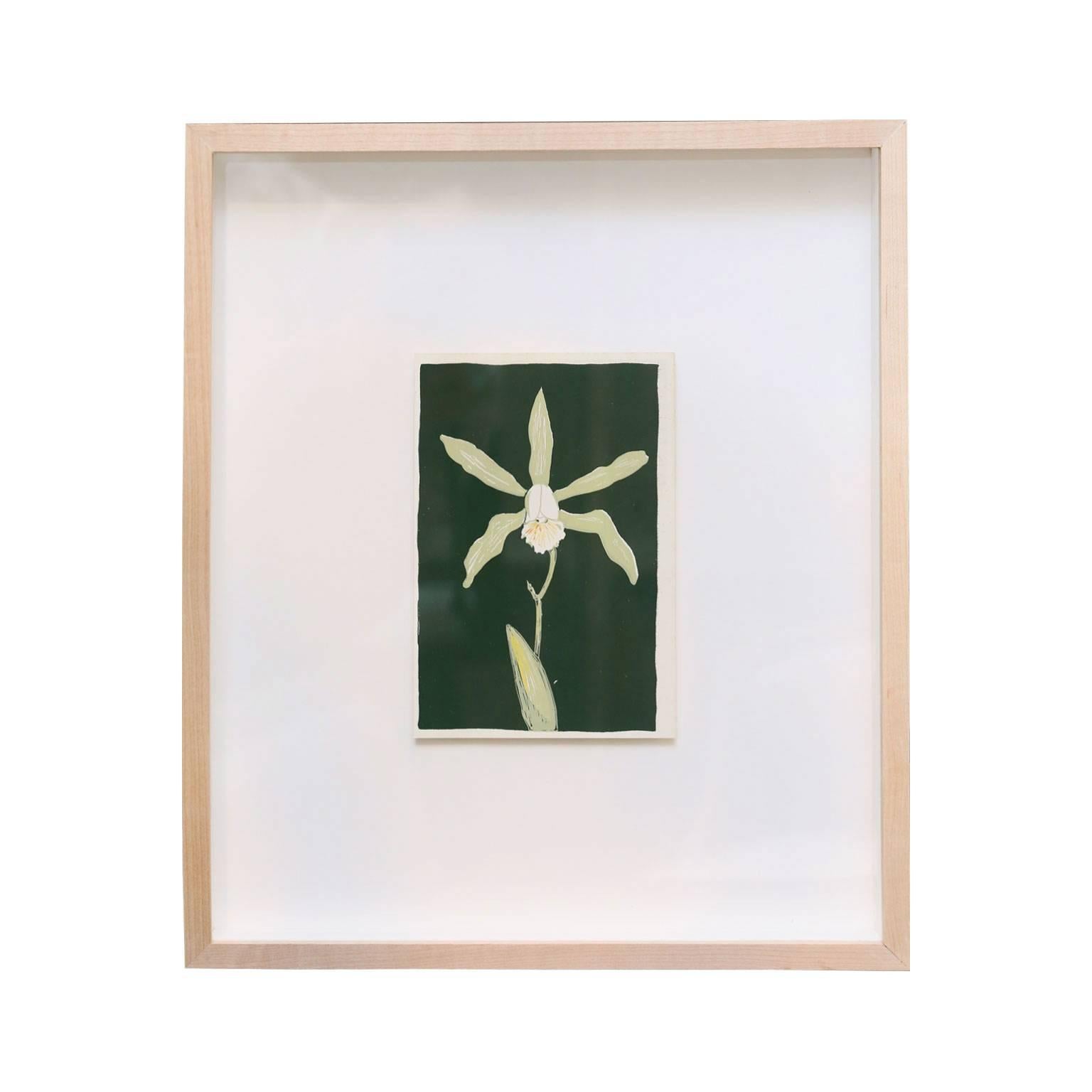 Nine colorful orchid serigraphs from Botanical Orchids, Blotter Press, 1966 (limited to 300 copies). Hand-pulled silk-screened orchids by Jim Anderson. Actual measurements of unframed prints are approximately 7.5 inches by 4.75 inches. Float mounted