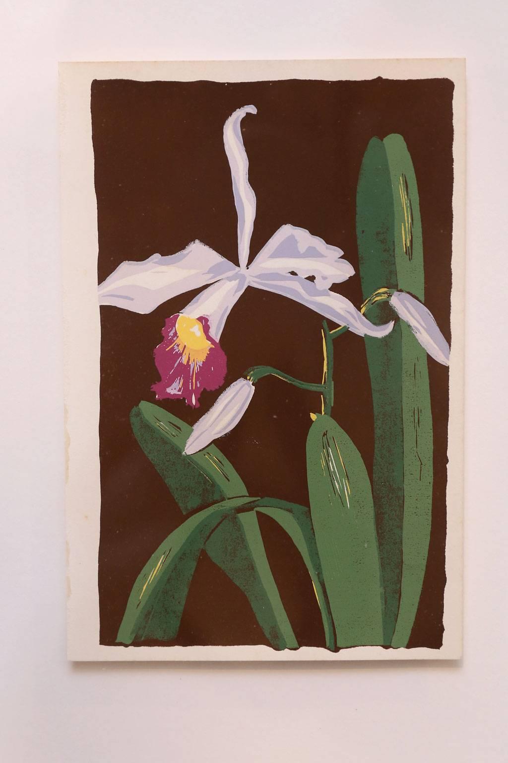 Glass Nine Colorful Orchid Serigraphs