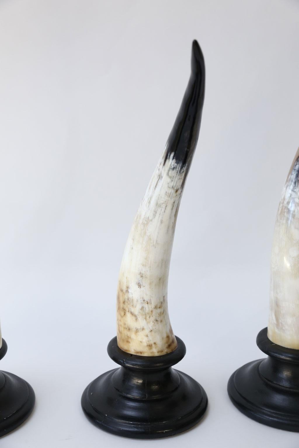 Eight Horn Sculptures For Sale 4
