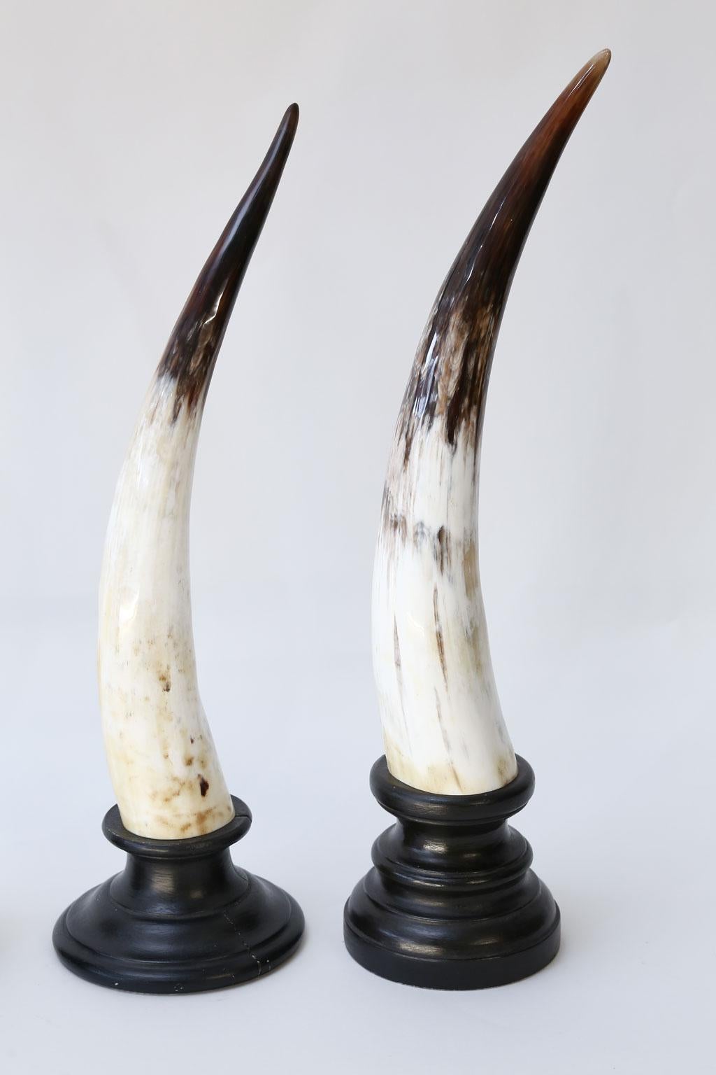 Belga Cinque sculture di Horn in vendita