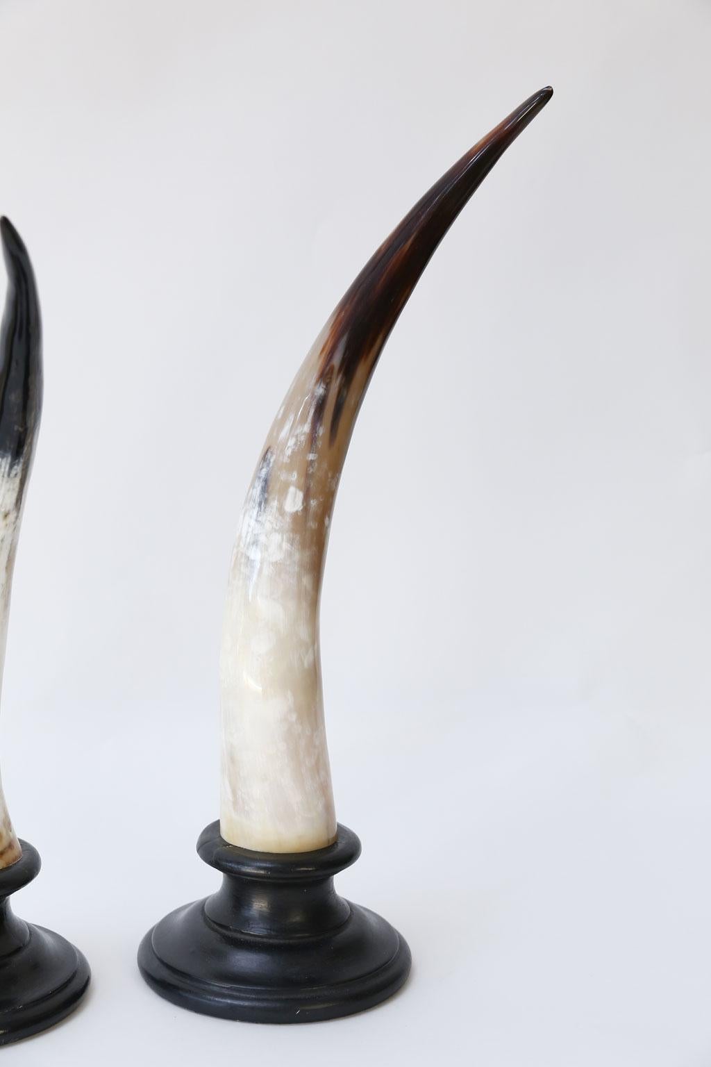 Wood Eight Horn Sculptures For Sale