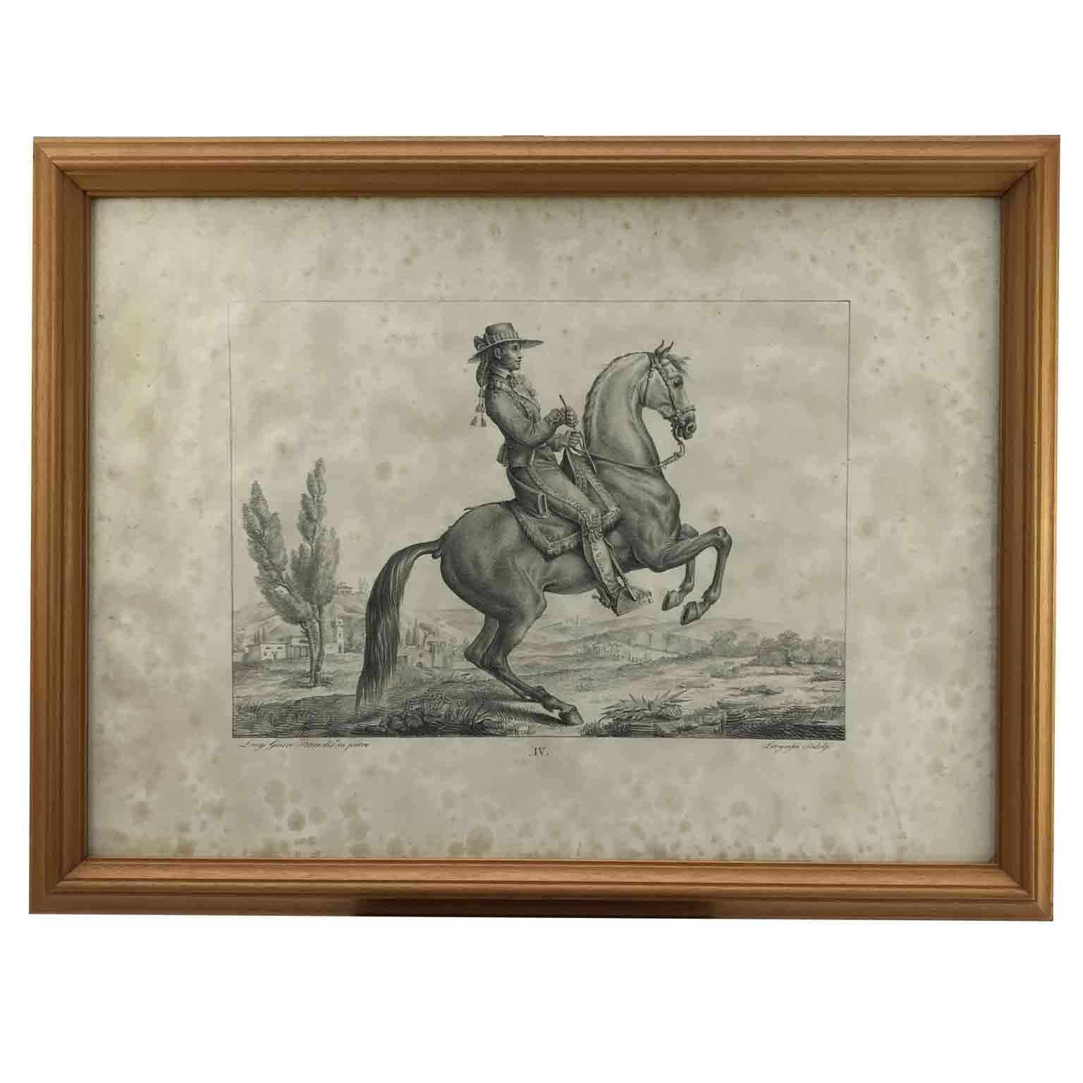 Set von neun Pferdebreeds-Lithographien von italienischer Giarre, 1822, Firenze  im Angebot 3