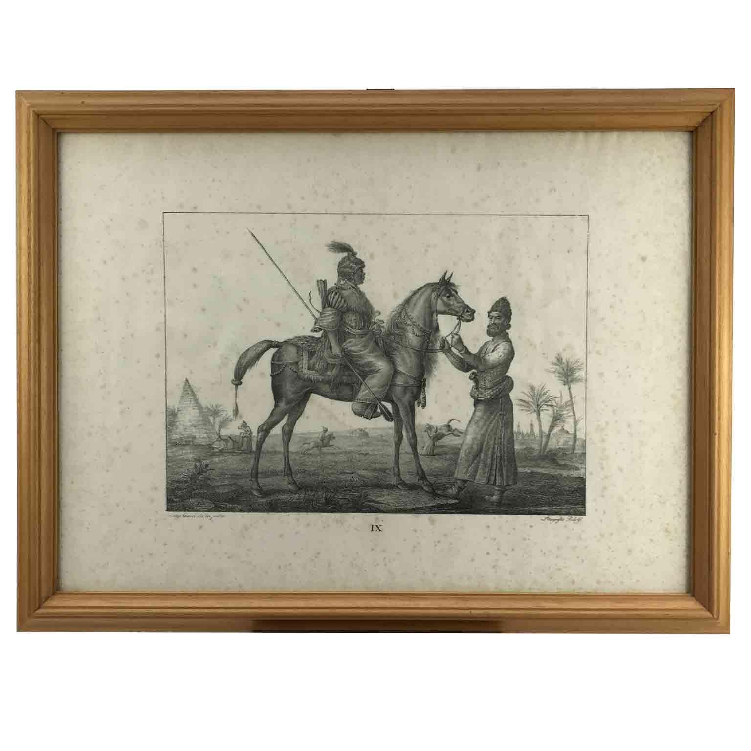 Set von neun Pferdebreeds-Lithographien von italienischer Giarre, 1822, Firenze  (Europäisch) im Angebot