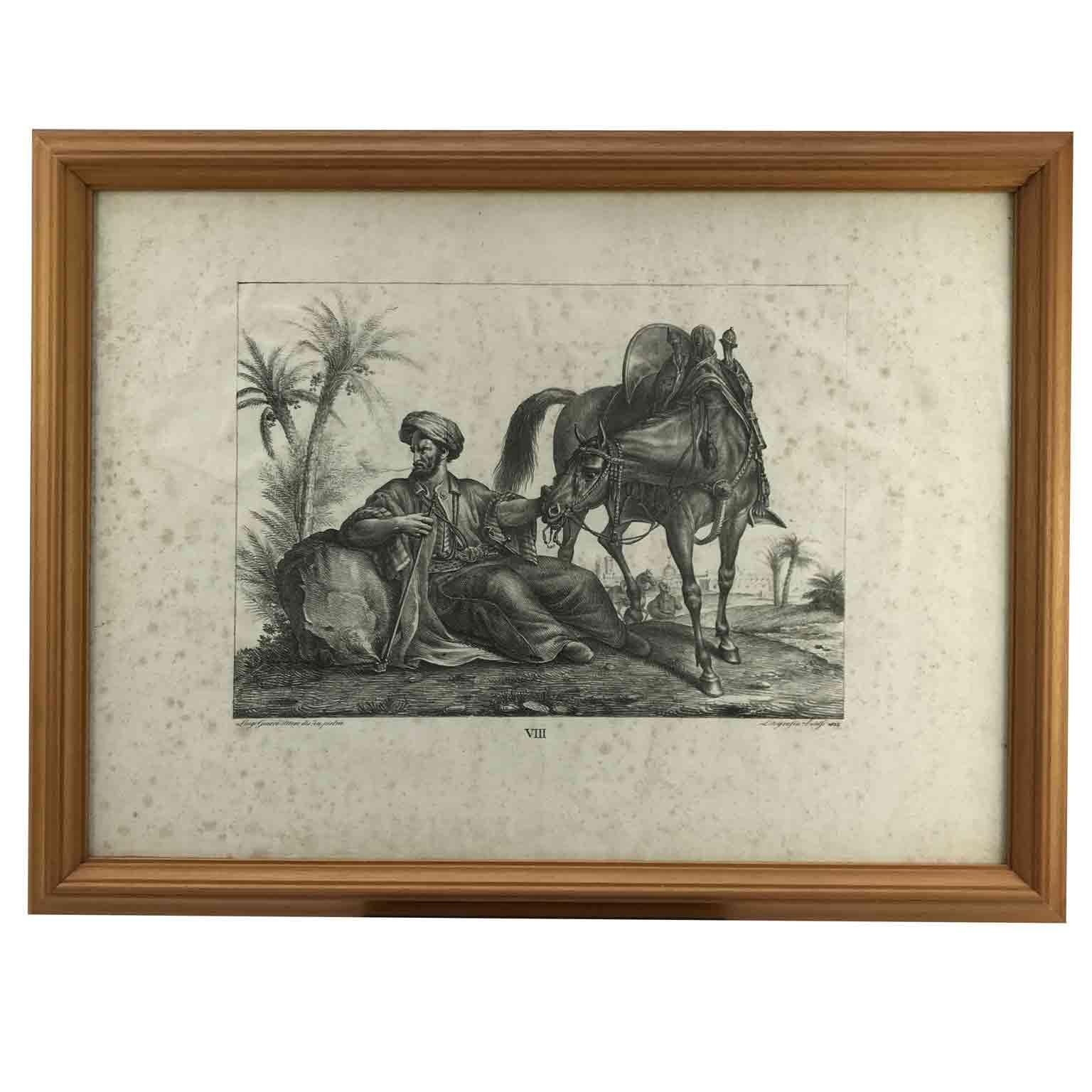 Set von neun Pferdebreeds-Lithographien von italienischer Giarre, 1822, Firenze  (19. Jahrhundert) im Angebot