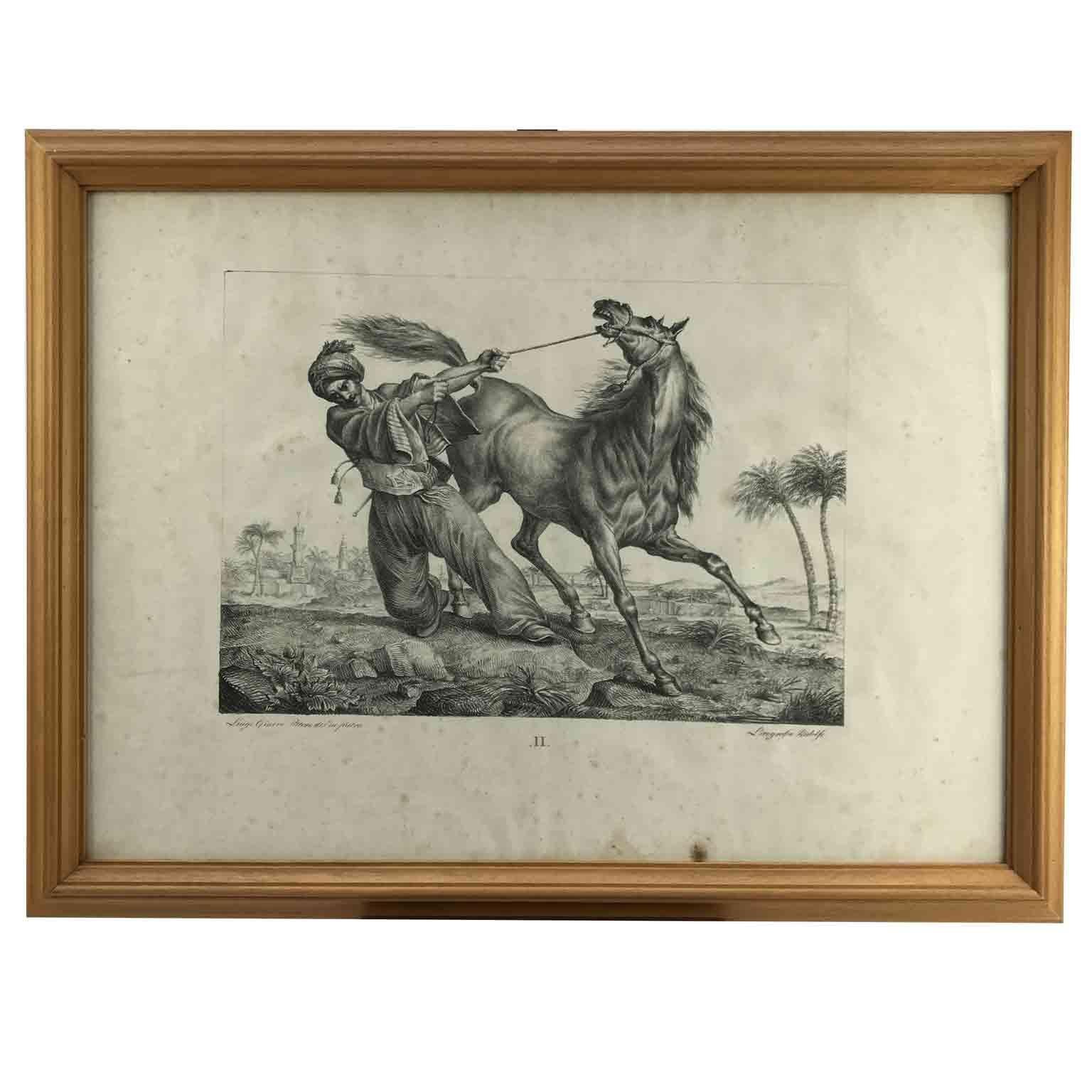 Set von neun Pferdebreeds-Lithographien von italienischer Giarre, 1822, Firenze  (Holz) im Angebot