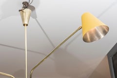 Nine Positionable Arms Chandelier with Colored Cones