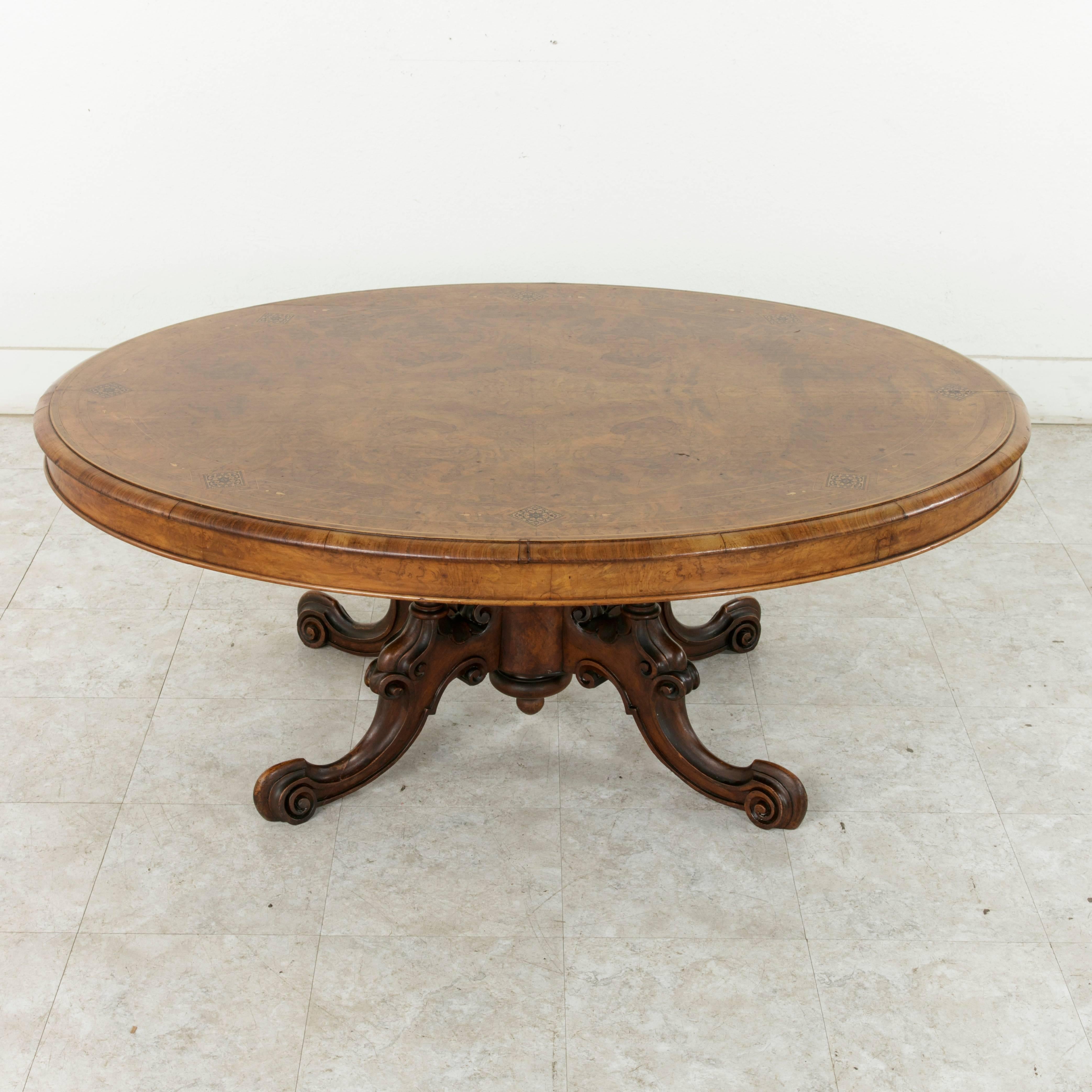 19th Century Burl Walnut and Marquetry English Loo Table or Coffee Table 2