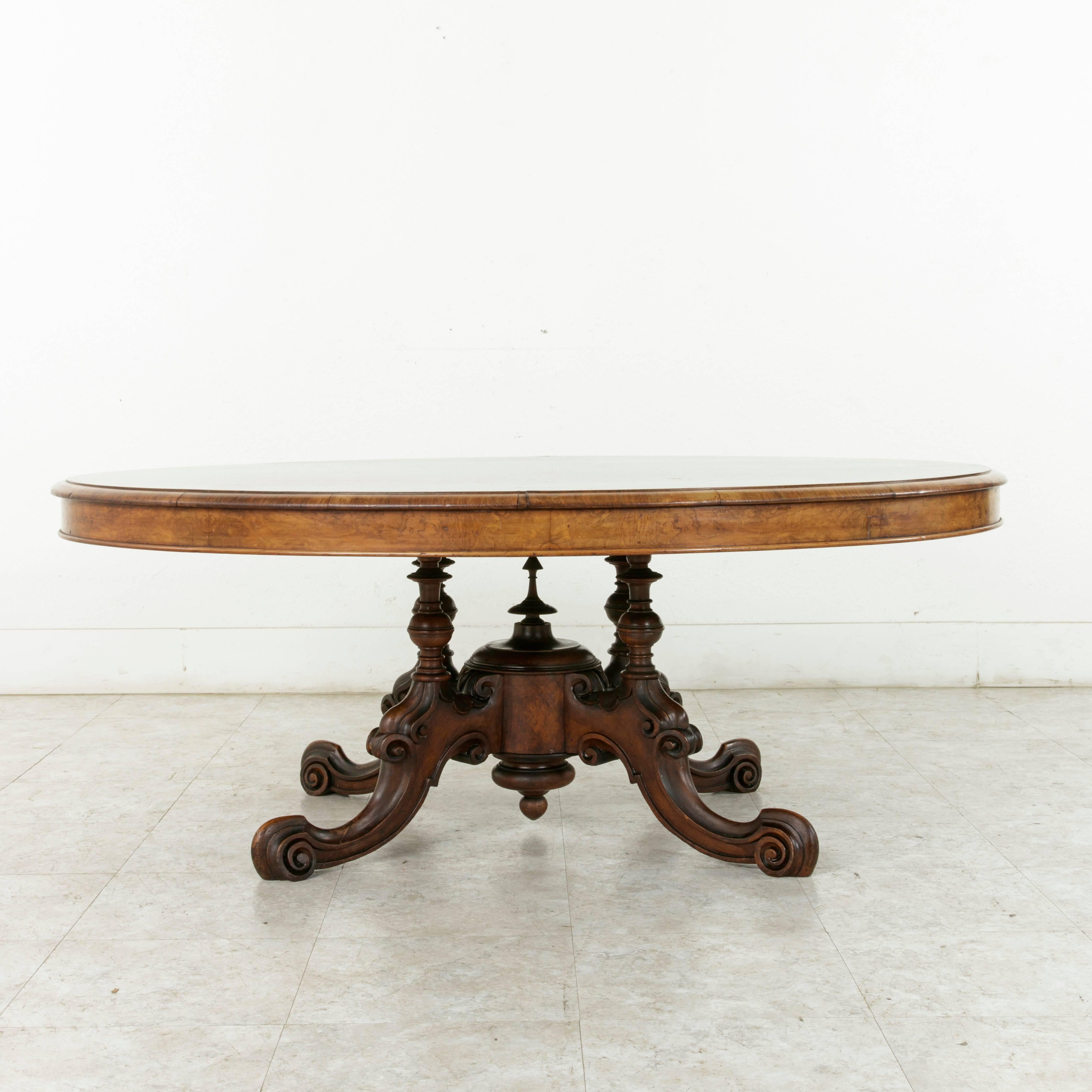 19th Century Burl Walnut and Marquetry English Loo Table or Coffee Table 3