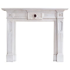 19th Century French Statuary Marble Fireplace