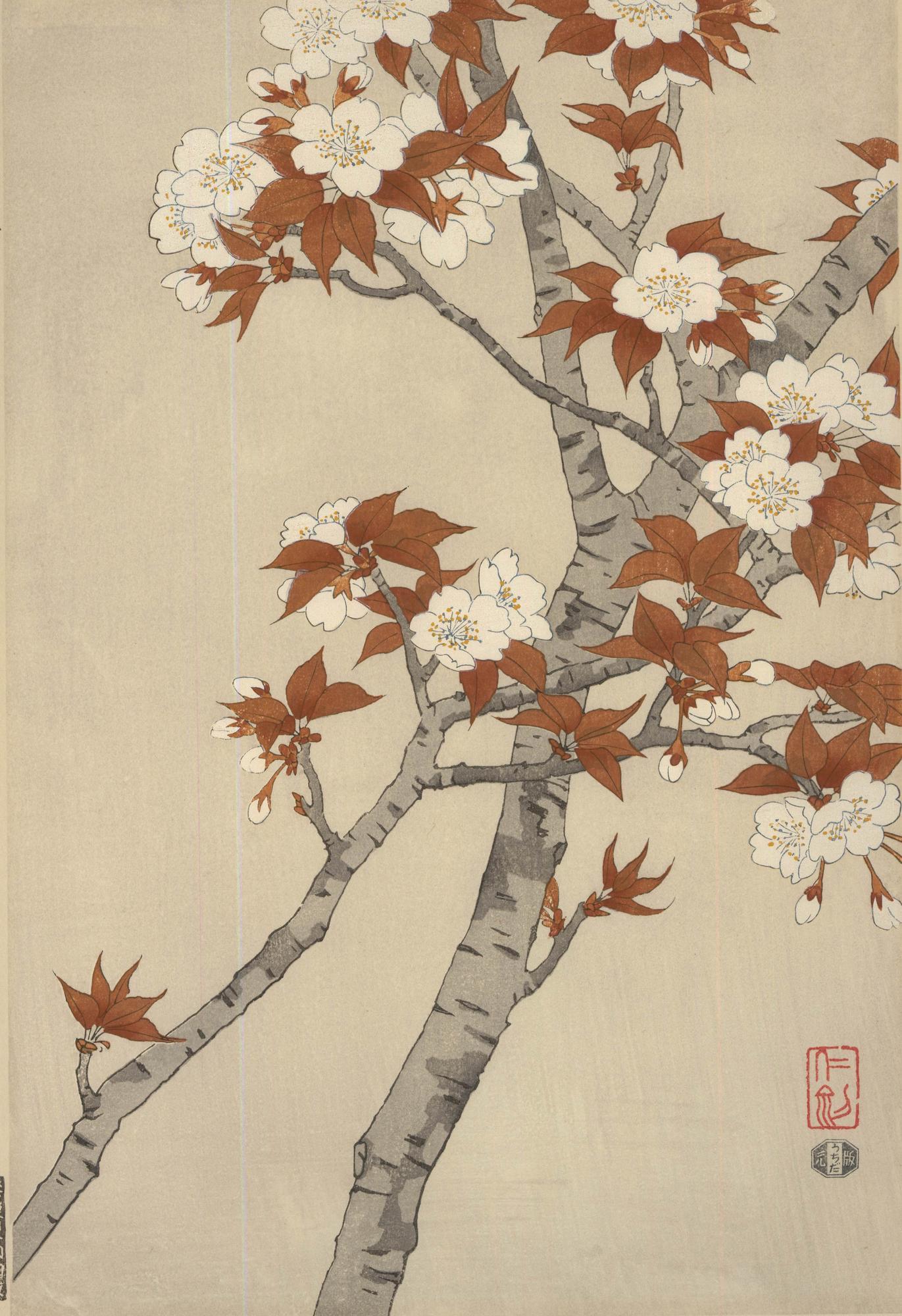 Nisaburo Ito (1910-1988) - xilografía japonesa de mediados del siglo XX, Cerezo en flor en venta 1