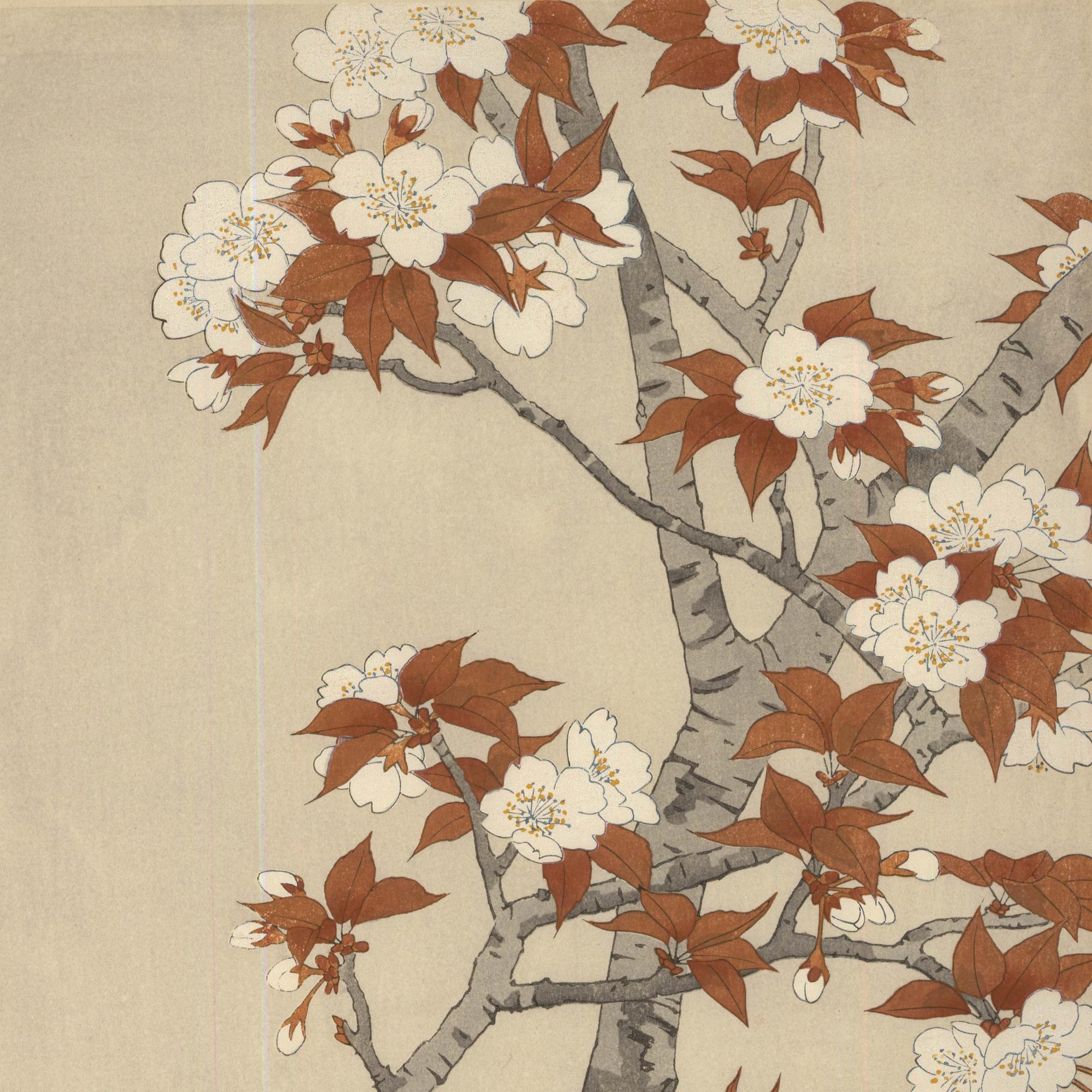 Nisaburo Ito (1910-1988) - xilografía japonesa de mediados del siglo XX, Cerezo en flor en venta 2