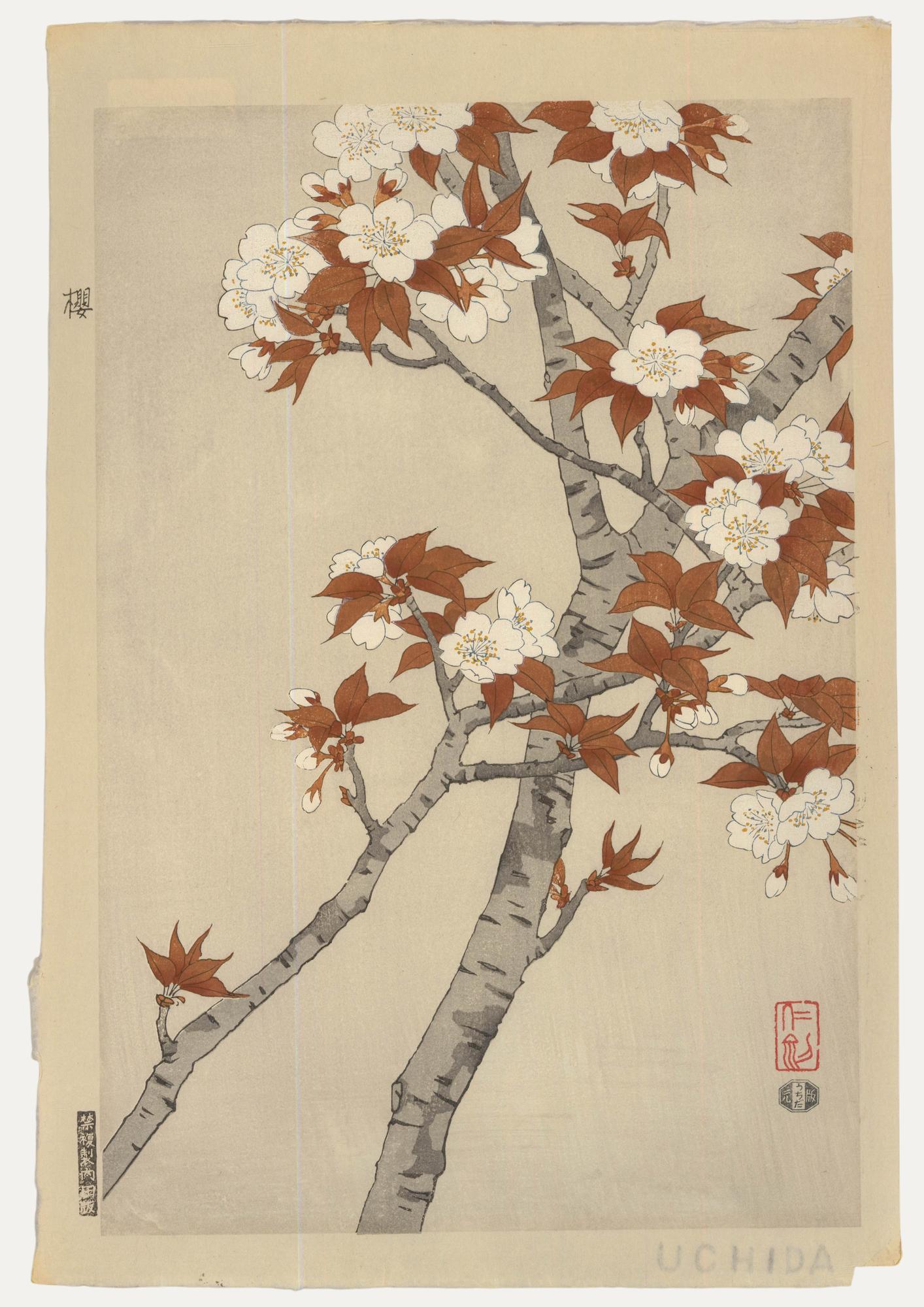 Una deliciosa xilografía japonesa del artista Nisaburo Ito (1910-1988) que representa un cerezo en plena floración. Esta xilografía de gran detalle fue impresa por la Imprenta Uchida. Lleva la firma y el sello del artista. En la cama.