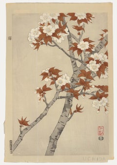 Nisaburo Ito (1910-1988) - xilografía japonesa de mediados del siglo XX, Cerezo en flor