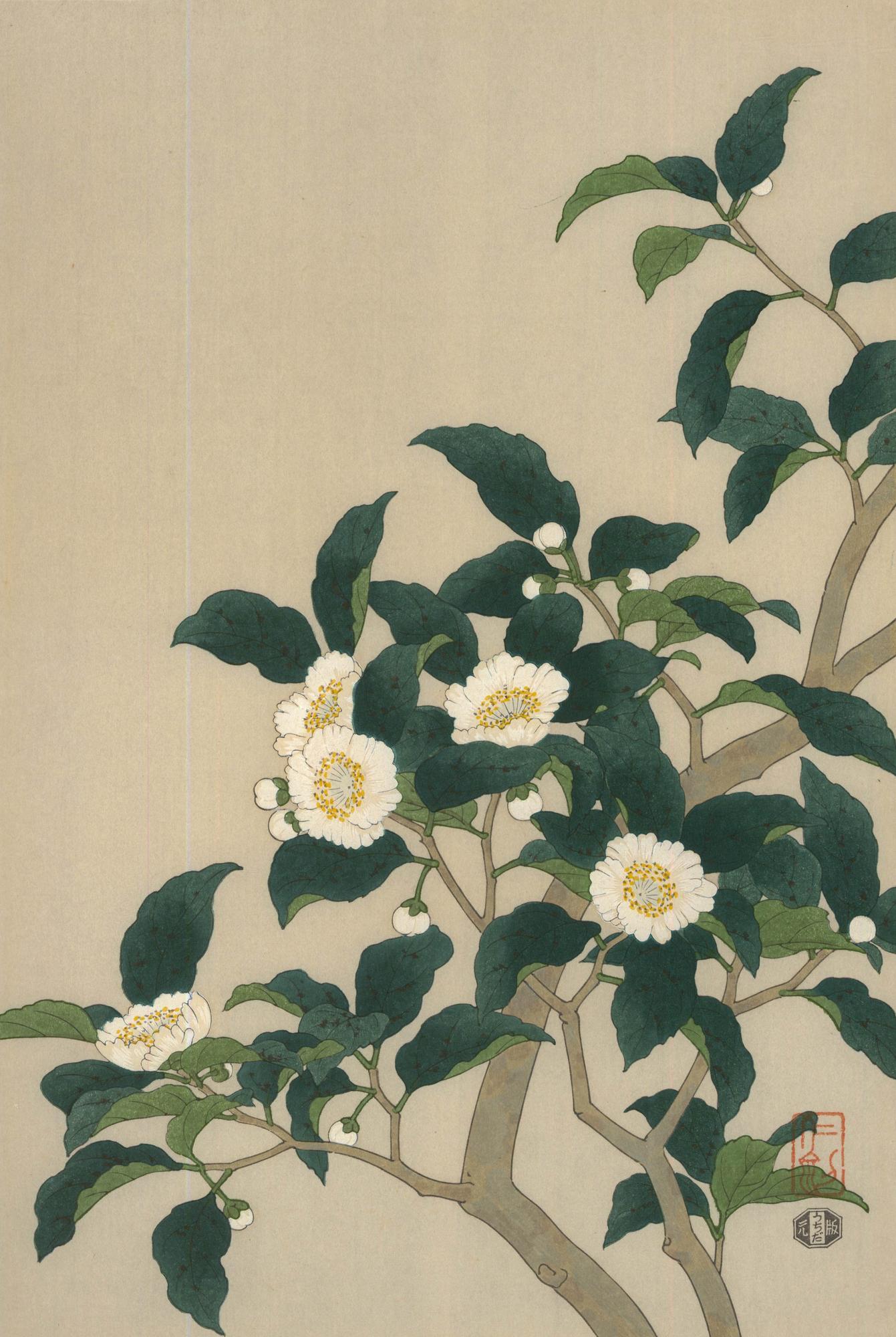 Nisaburo Ito (1910-1988) - xilografía japonesa de mediados del siglo XX, Flor del árbol del té en venta 1