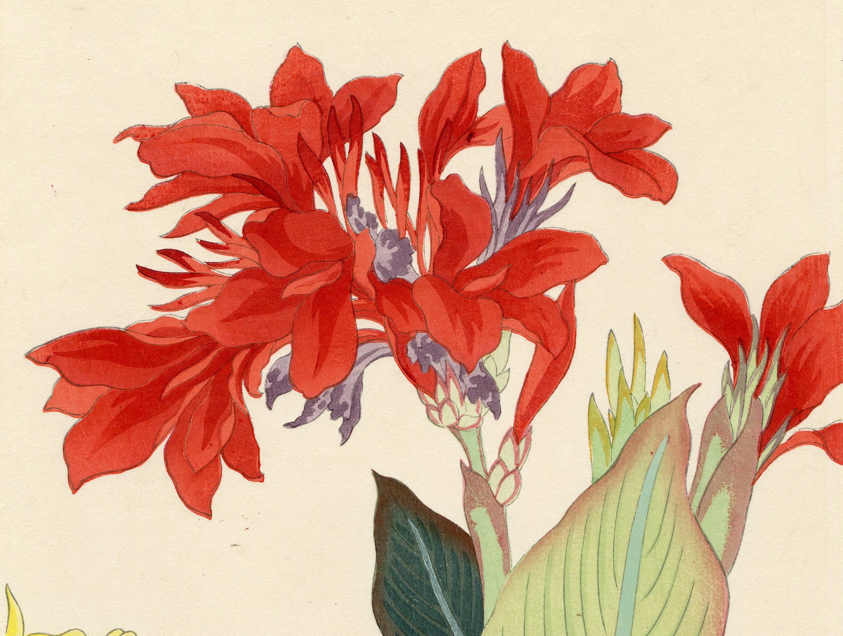 Canna Lily - Print by Nishimura Hodo