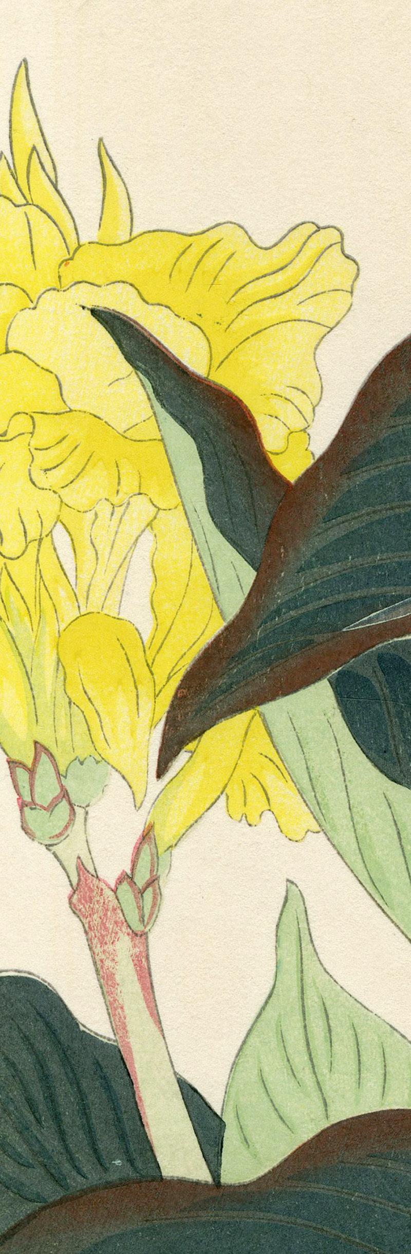 Canna Lily - Modern Print by Nishimura Hodo