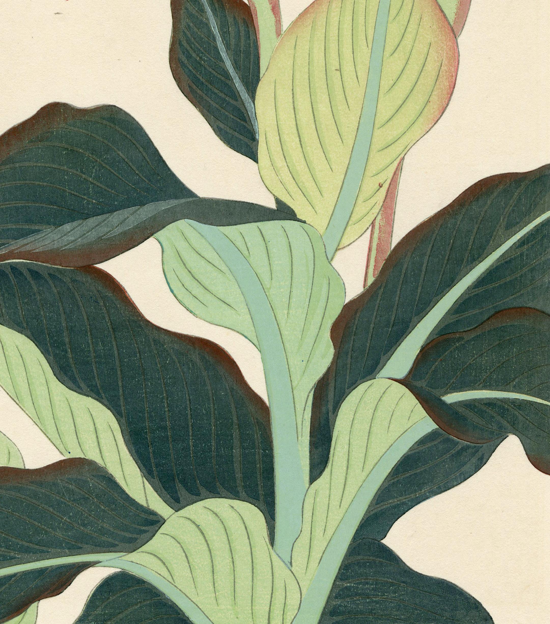 Canna Lily - Beige Still-Life Print by Nishimura Hodo