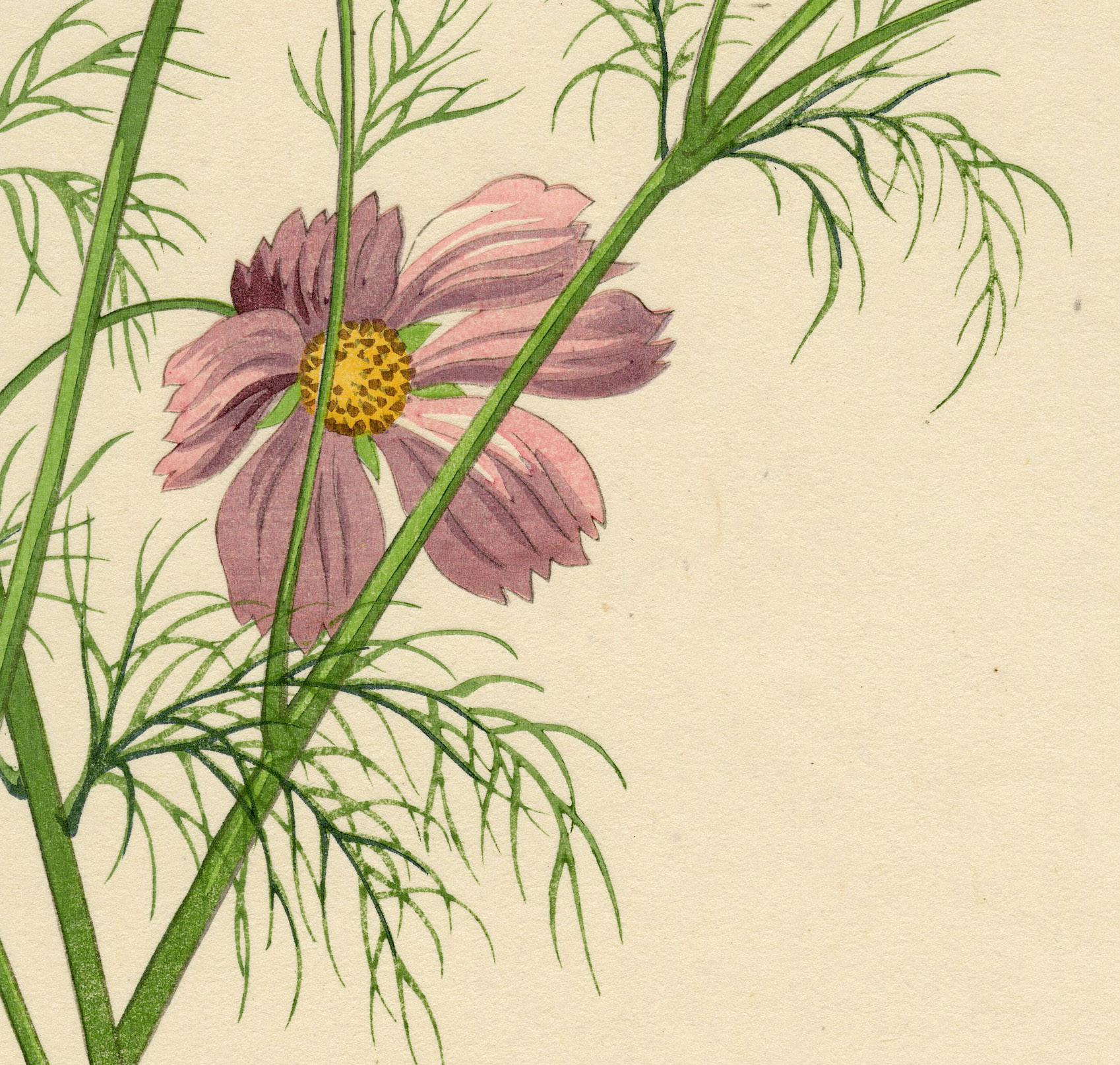 Cosmos - Still-Life Print Beige de Nishimura Hodo