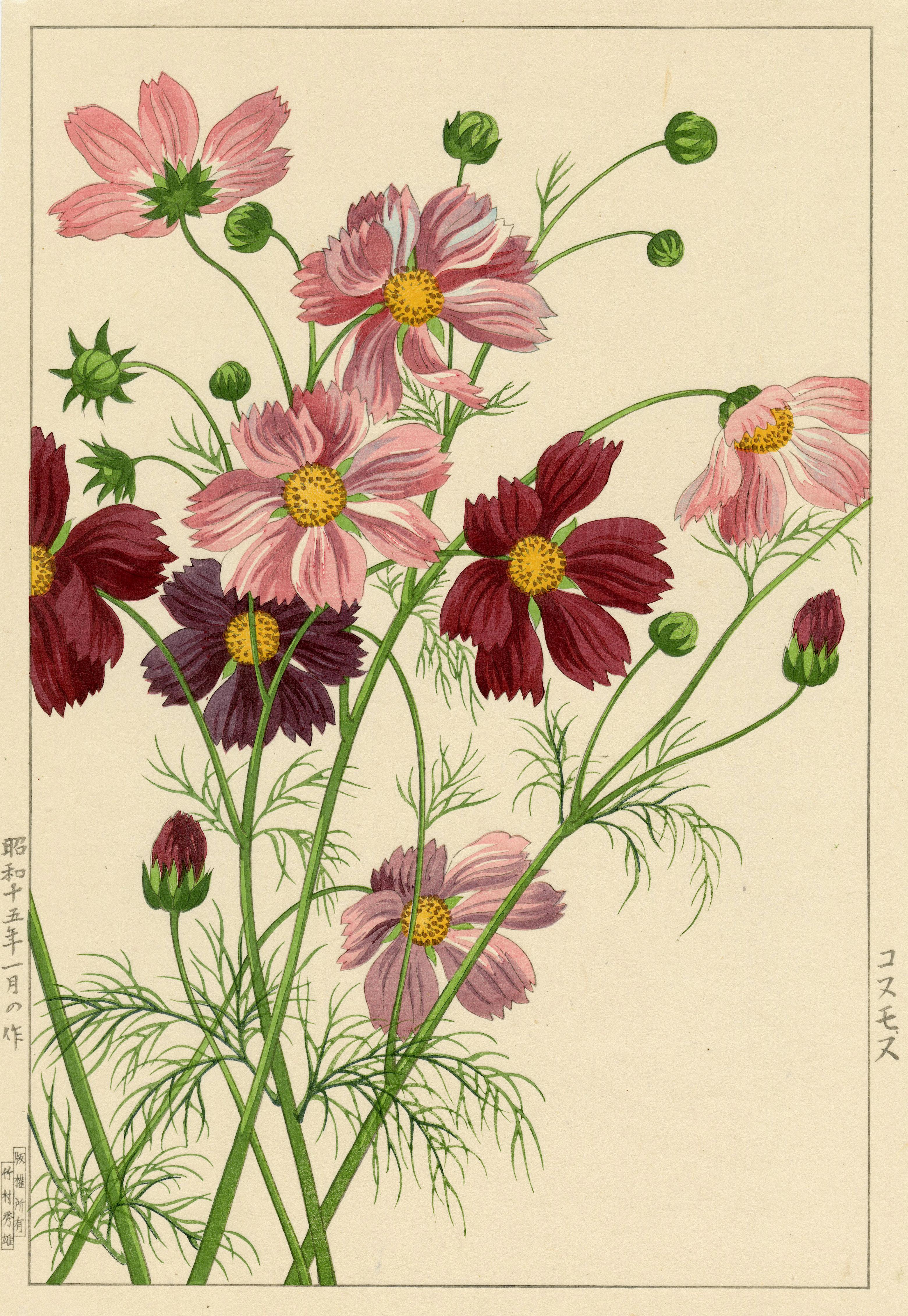Still-Life Print de Nishimura Hodo - Cosmos