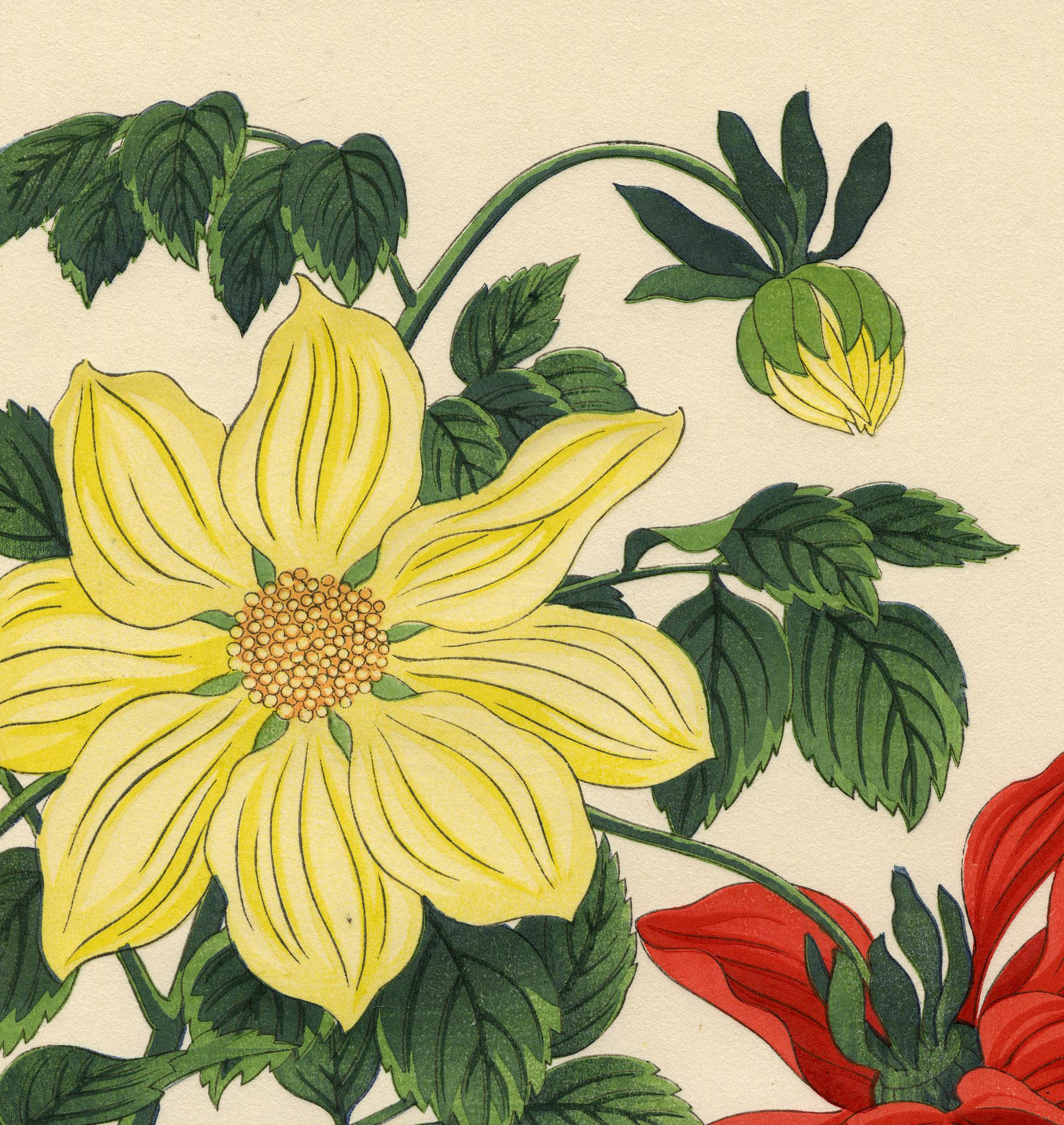 Dahlias - Print by Nishimura Hodo